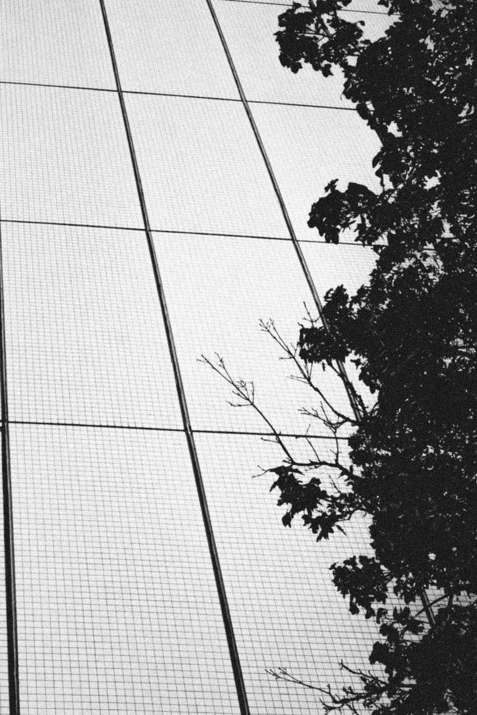 Nature Returns