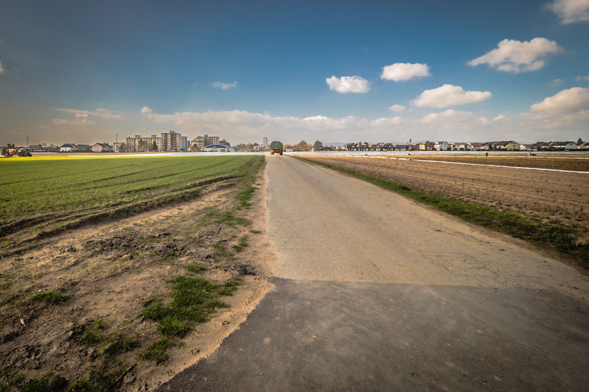 Feld