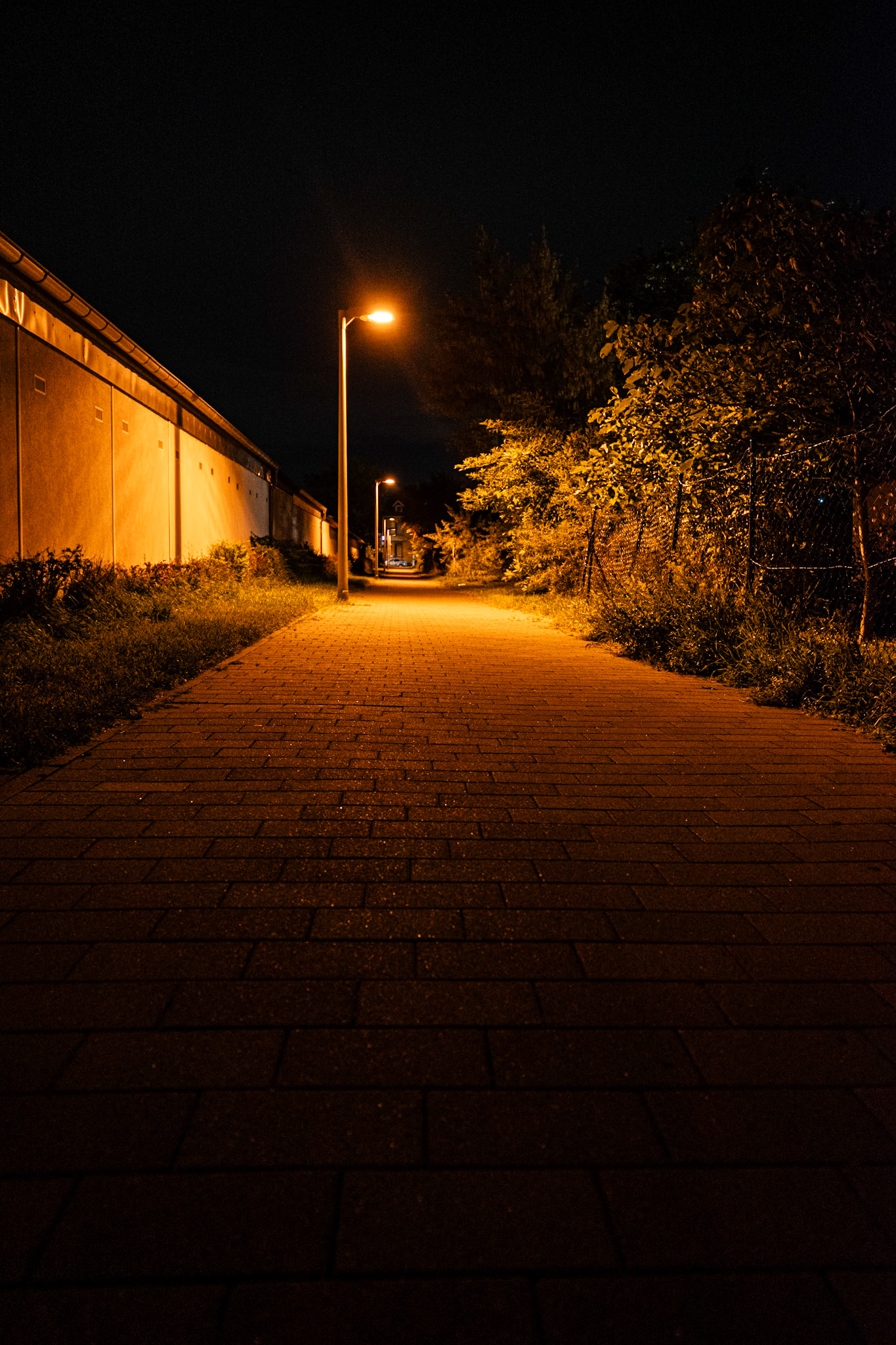 The Way