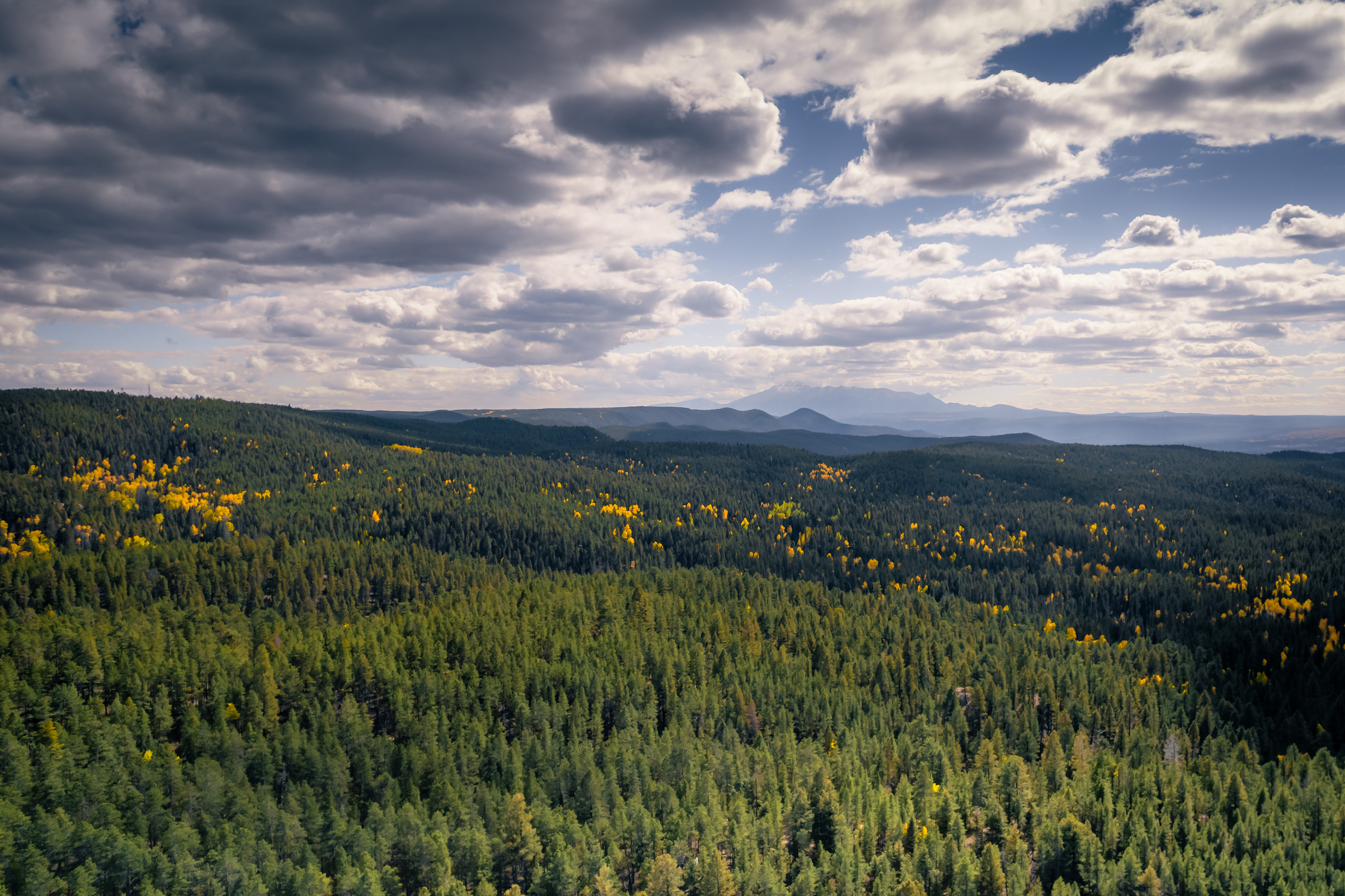 Fall in Colorado