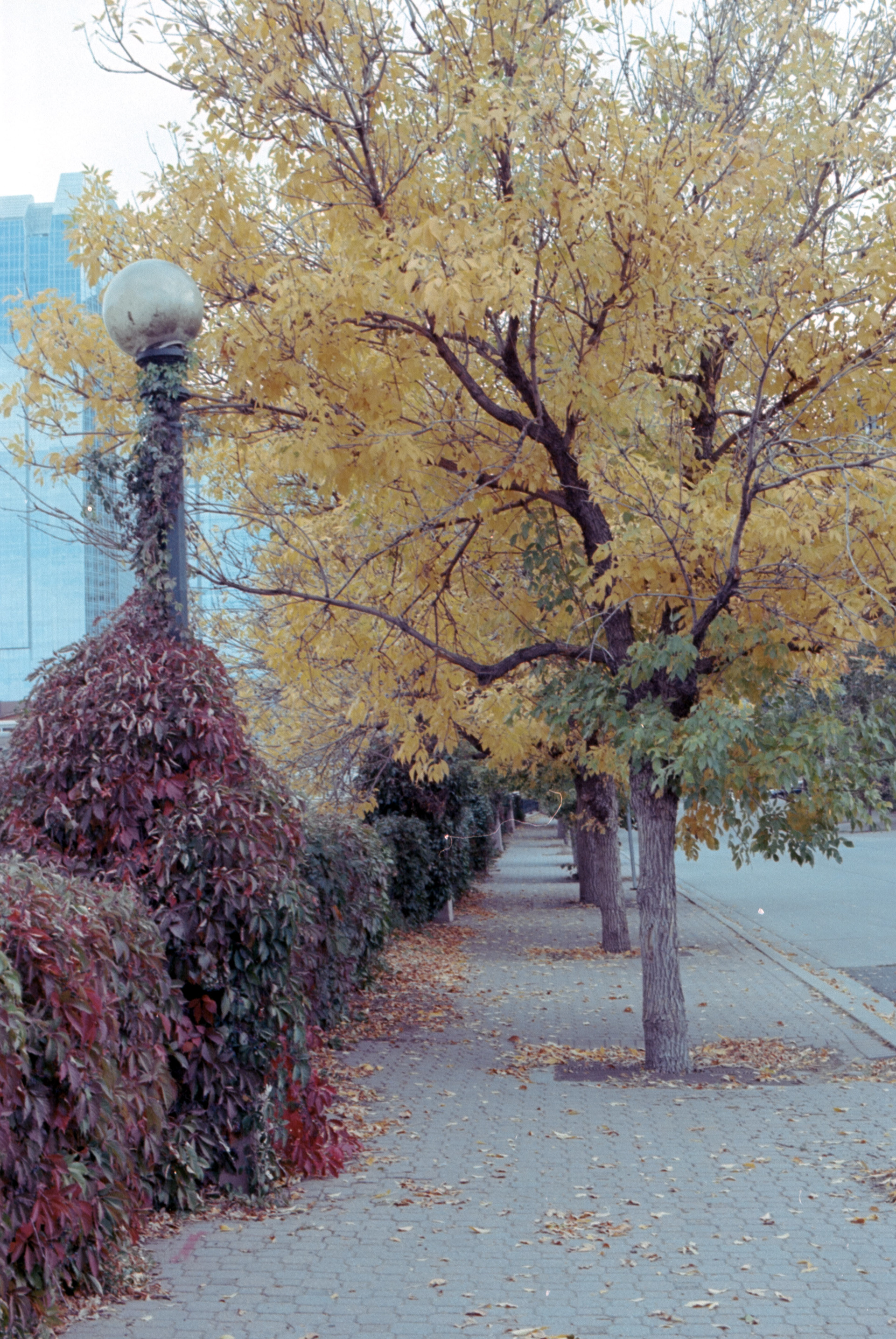 Denver, CO - Kodak Portra 400