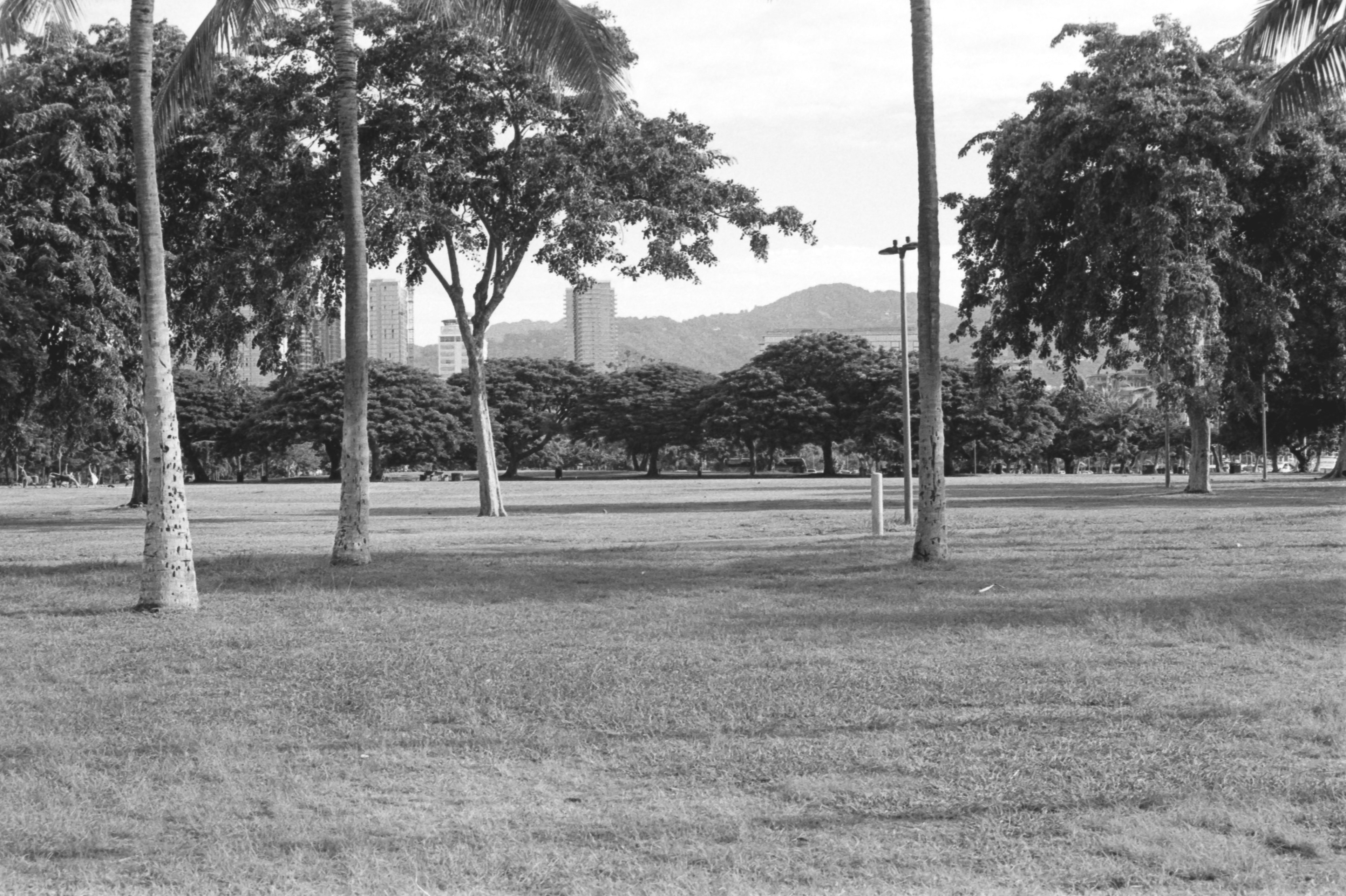 Waikiki - Ilford HP5+