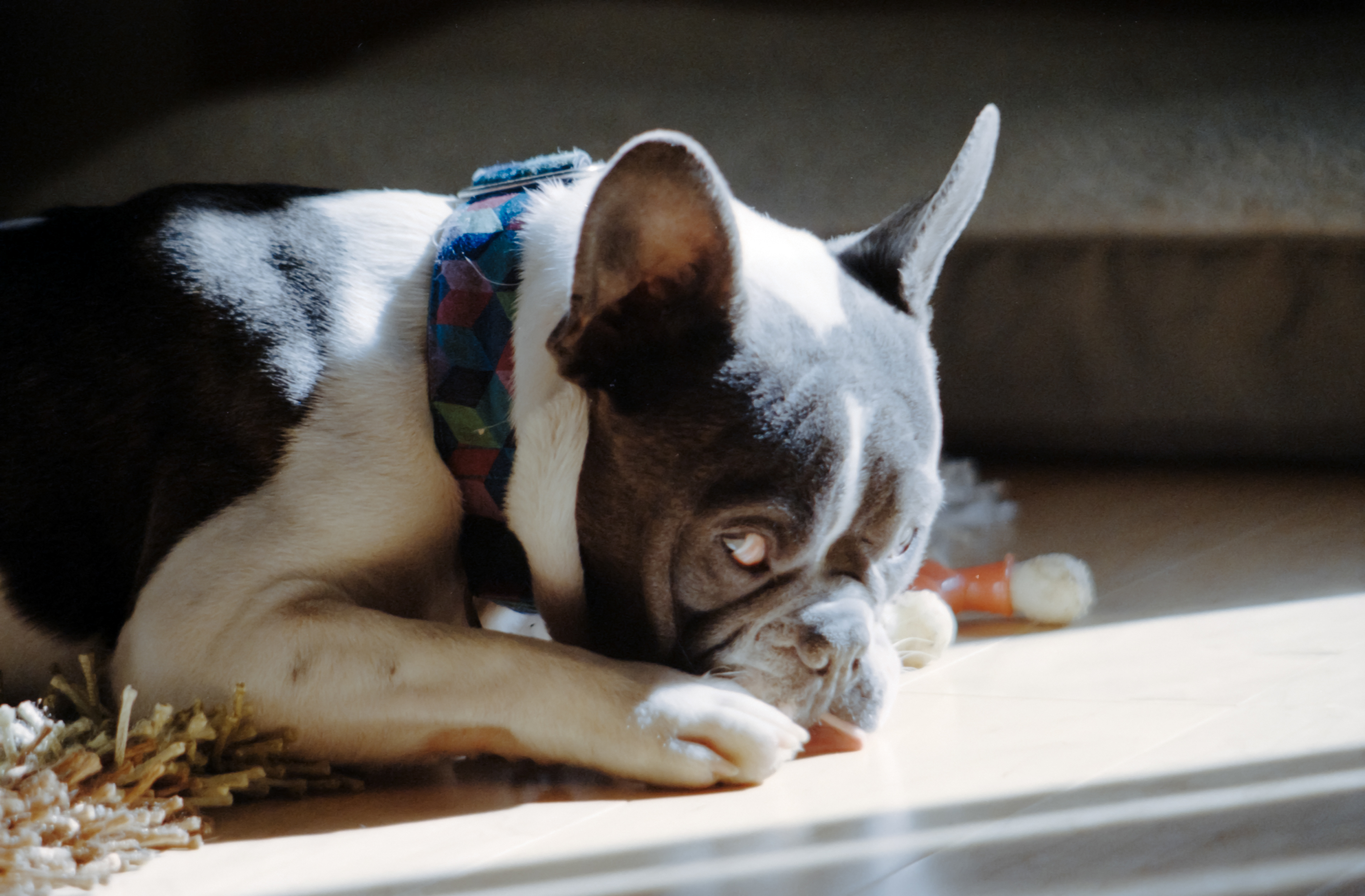 Apollo - Kodak Portra 400