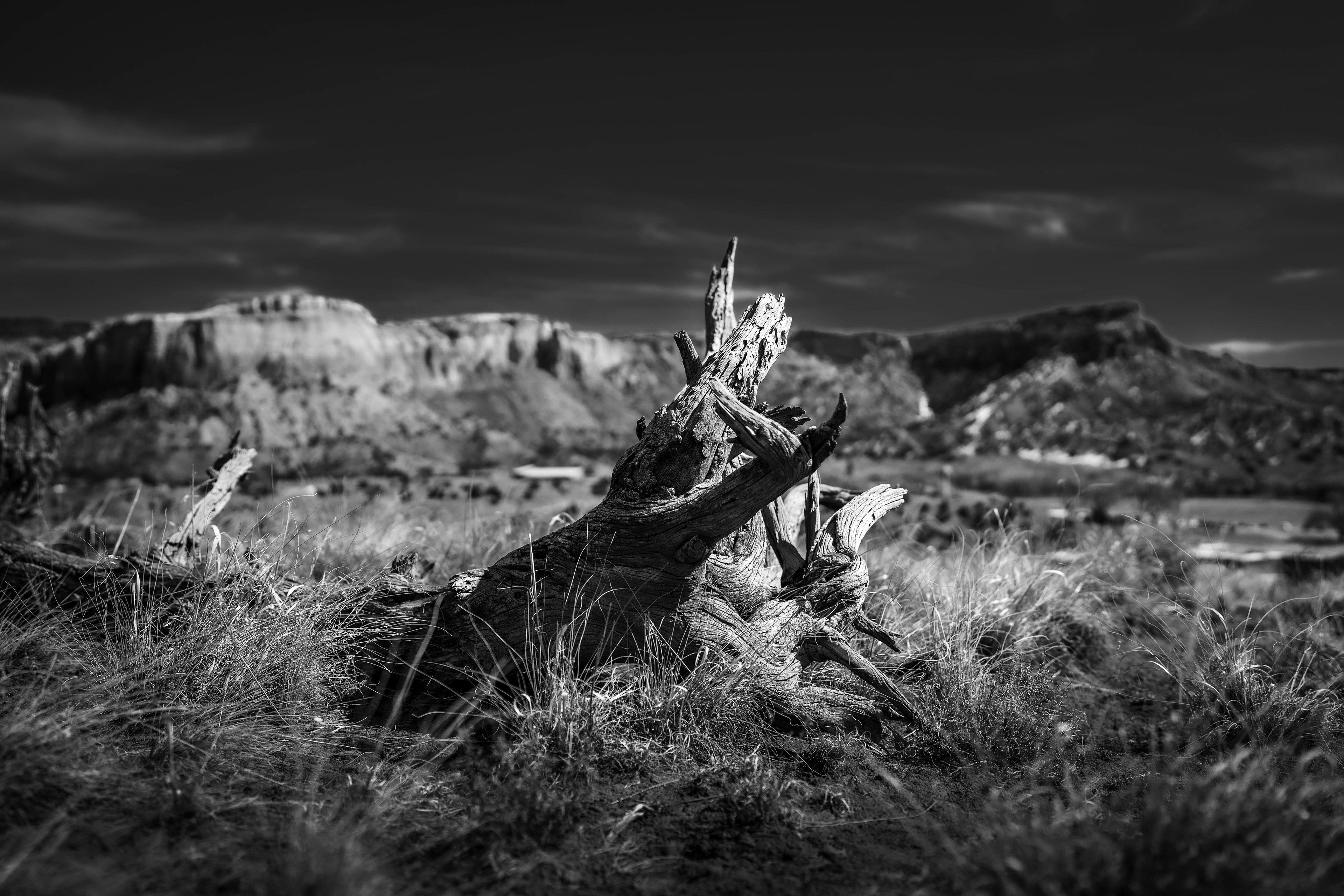 Ghost Ranch, New Mexico