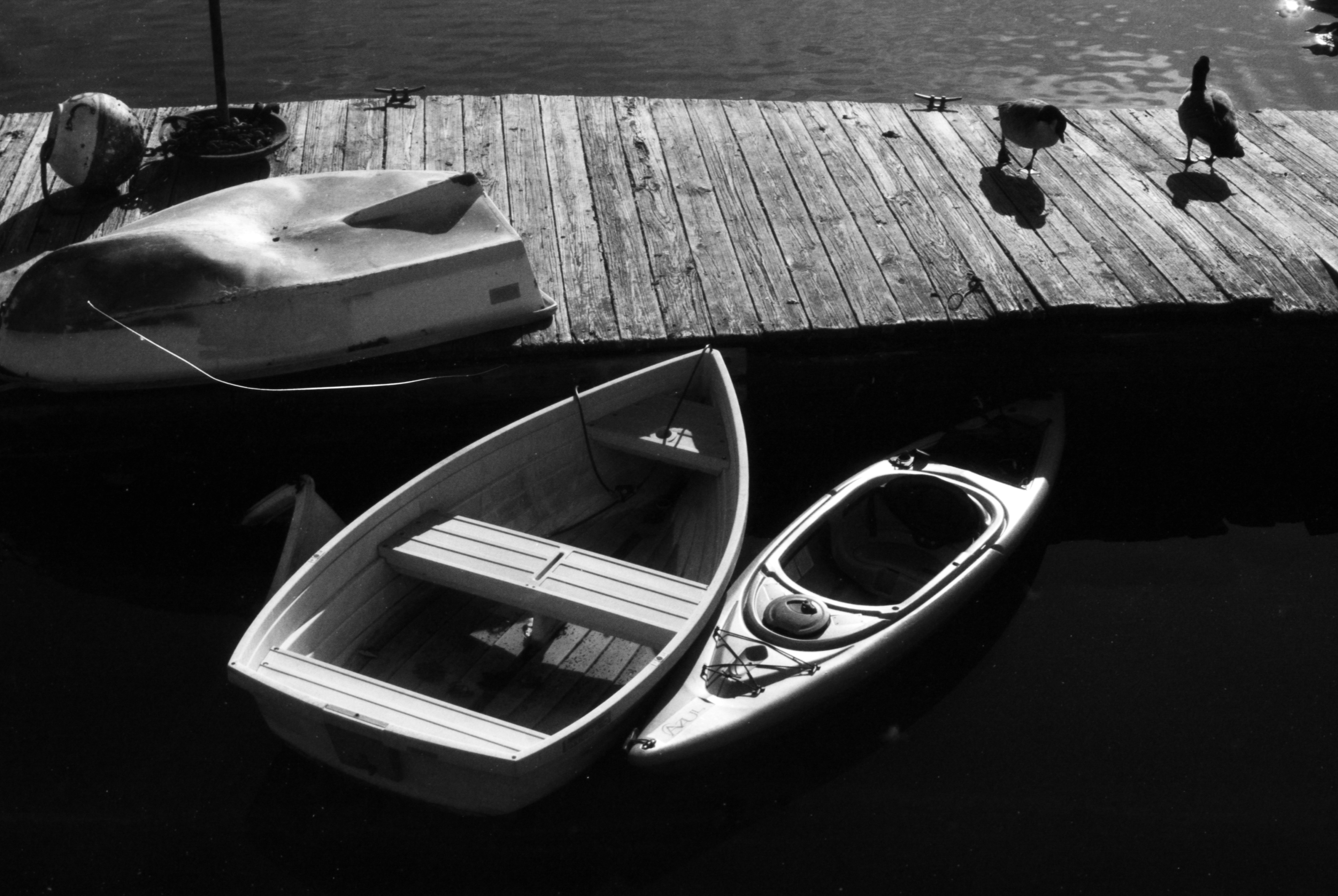 Boston, MA - Kodak T-max 100