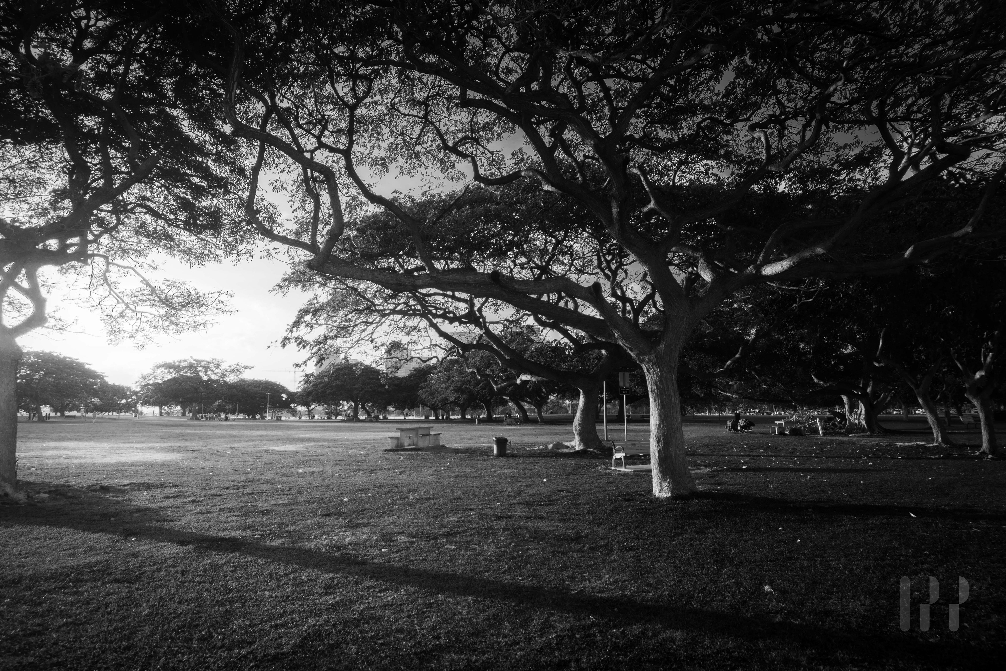 Ala Moana Park. Honolulu, Hawaii