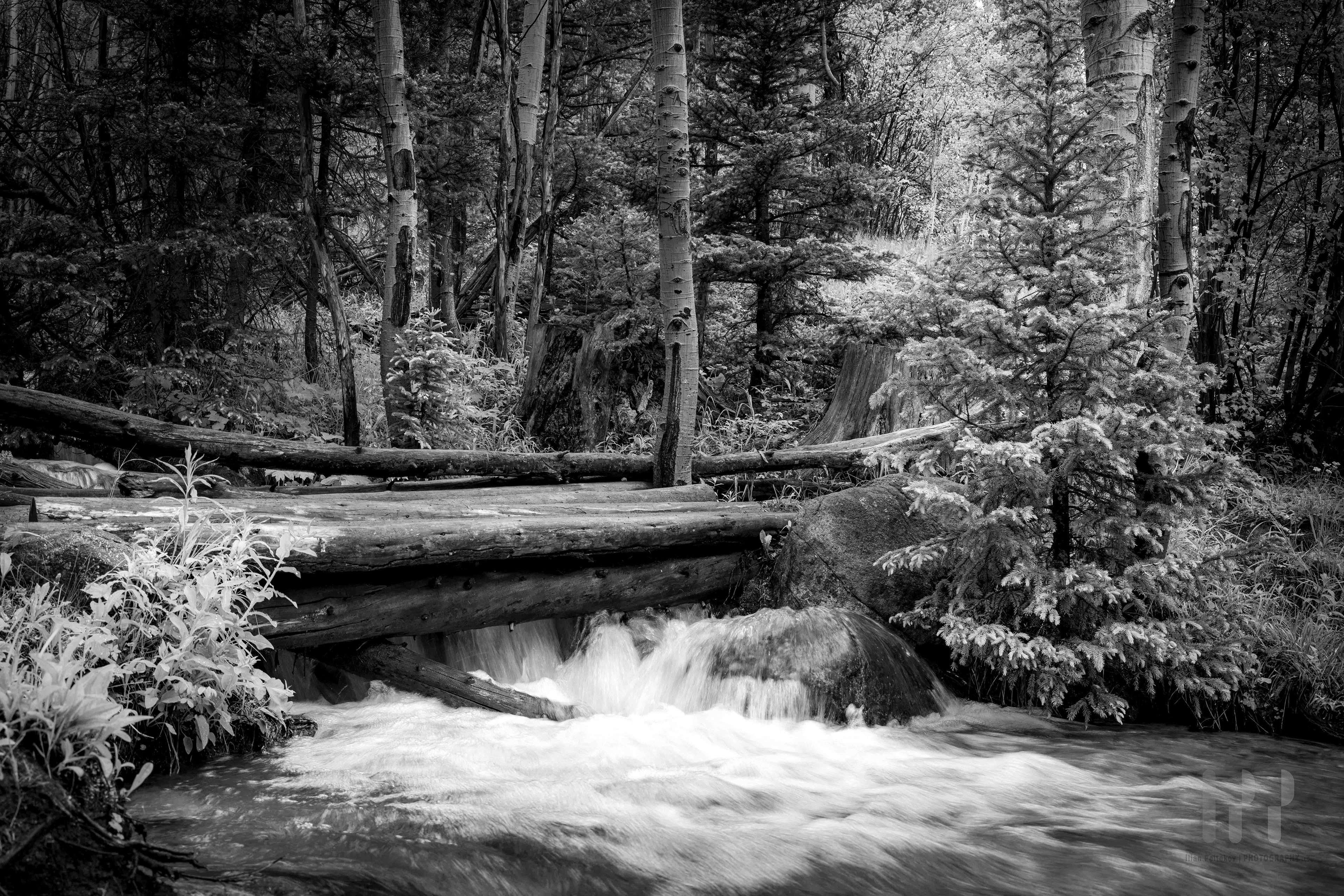 Buena Vista, Colorado