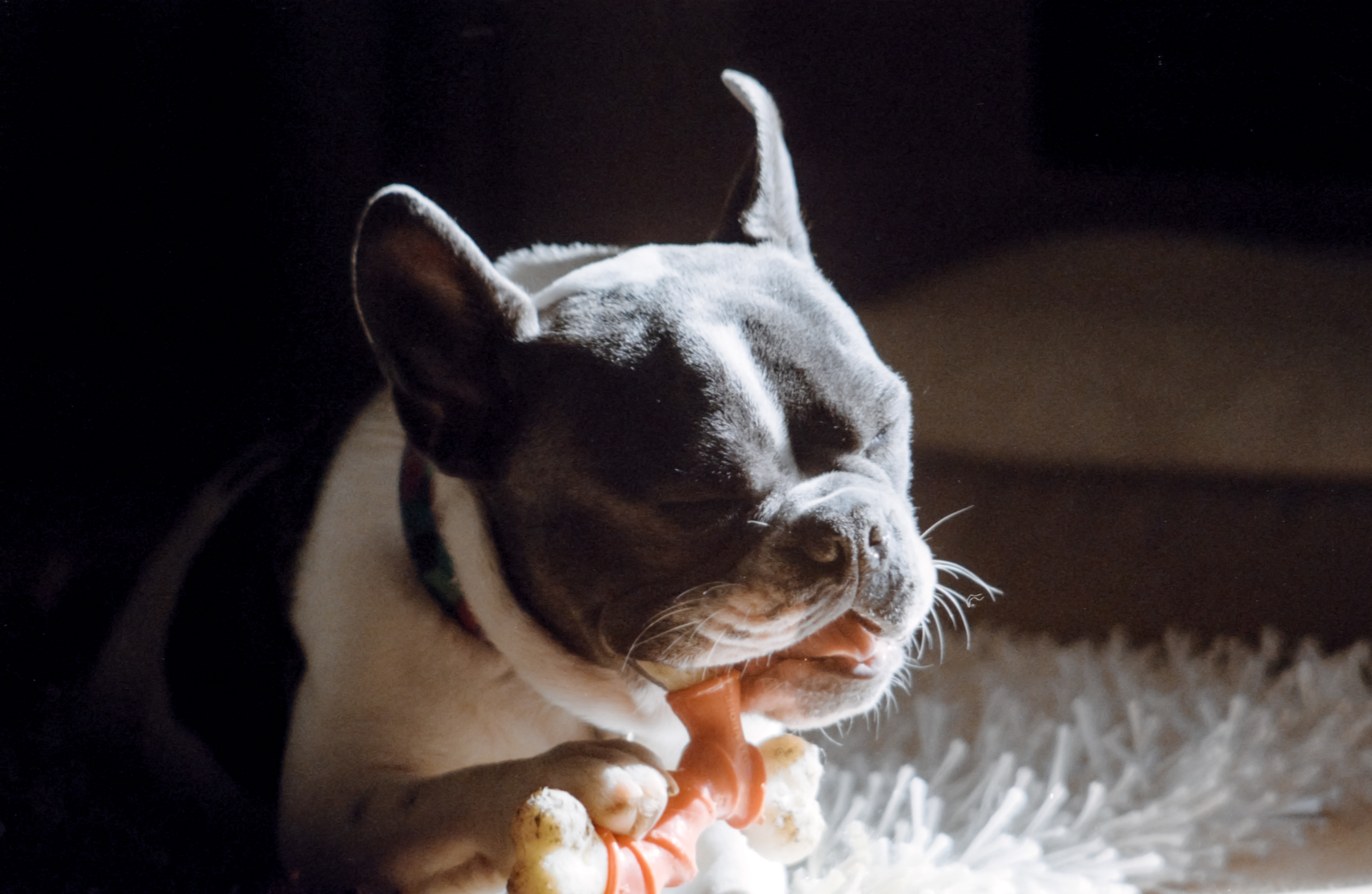 Apollo - Kodak Portra 400