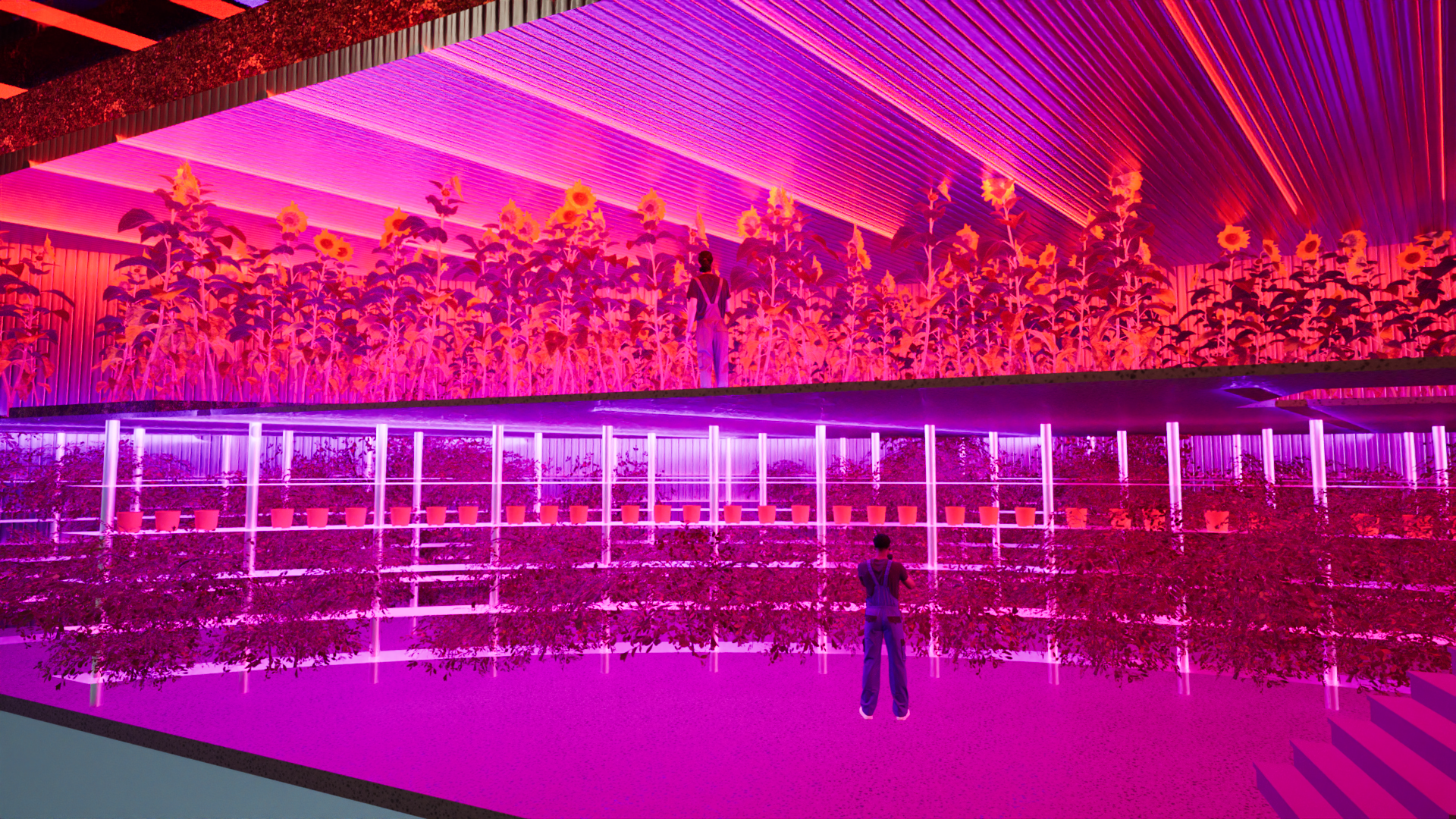 Underwater farm section