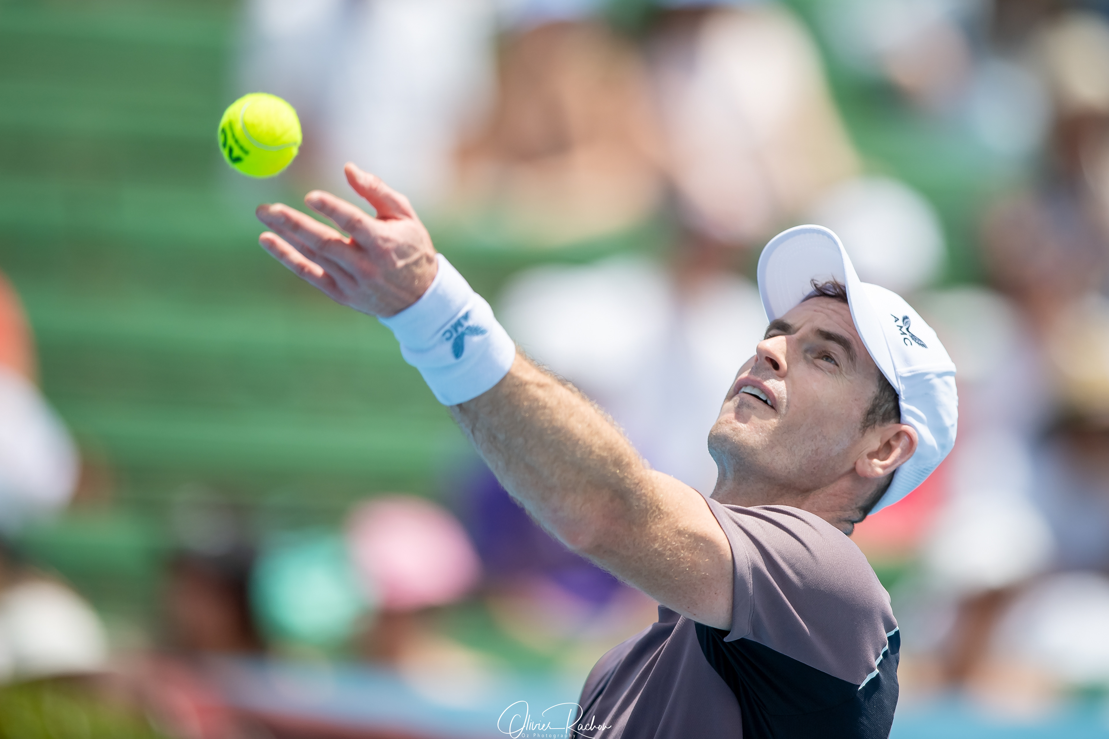 Sir Andy Murray