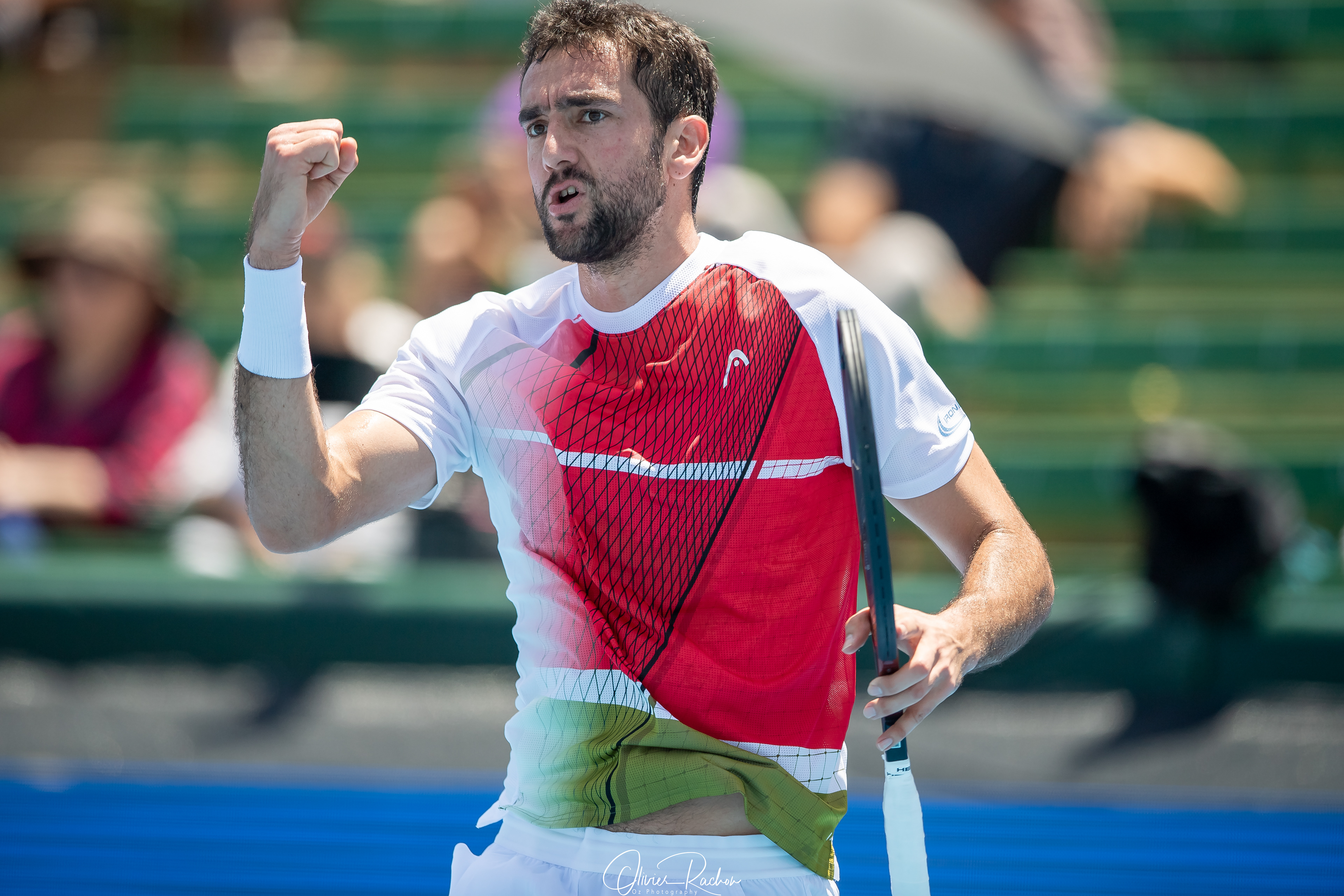 Marin Cilic