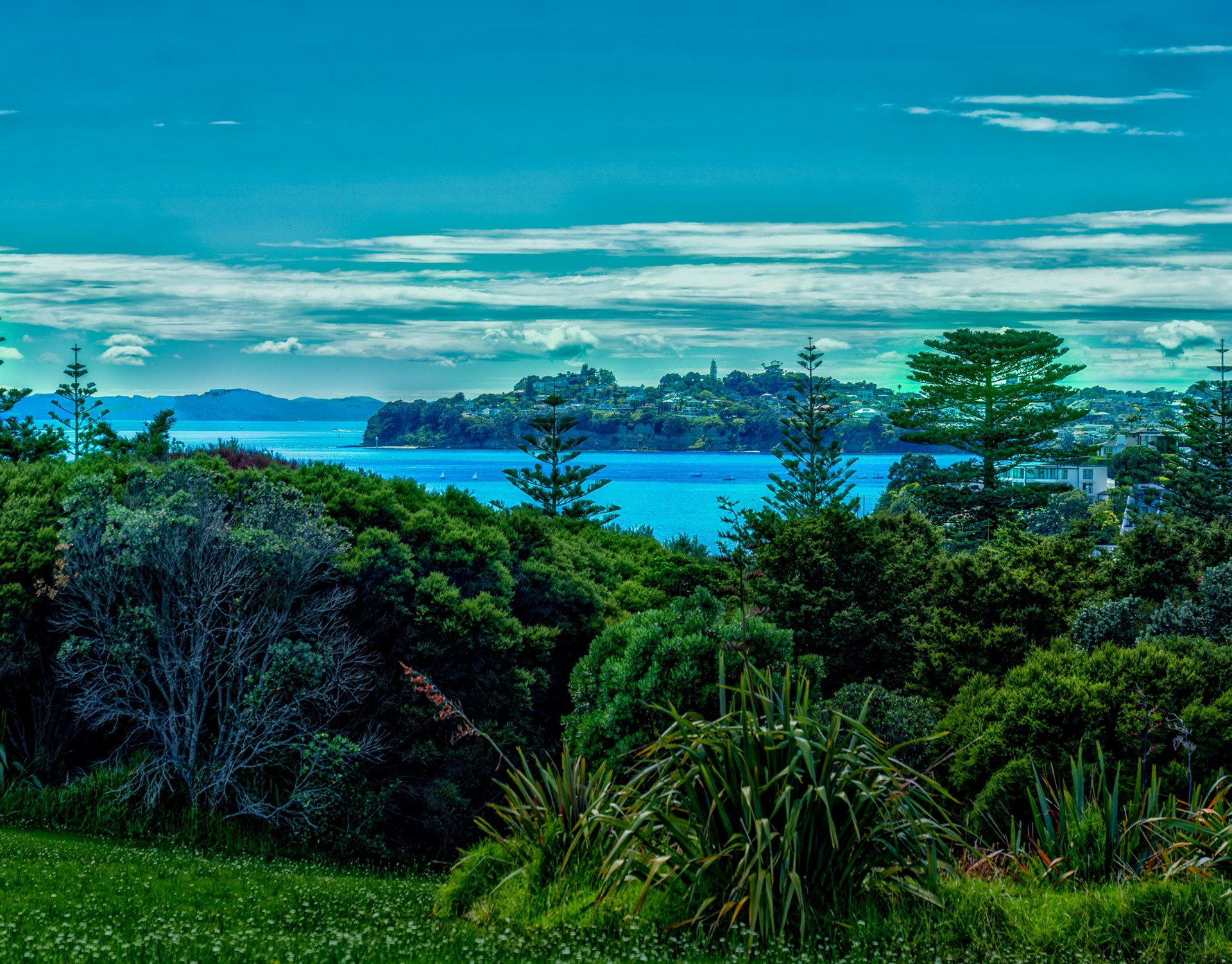 2026 New Zealand Tour with Overseas Adventure Travel