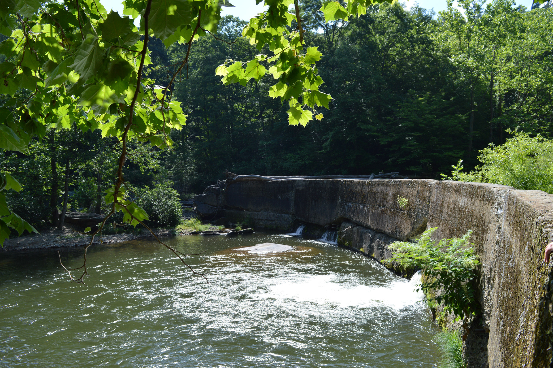 Shull's Mill Dam before its removal - 2024