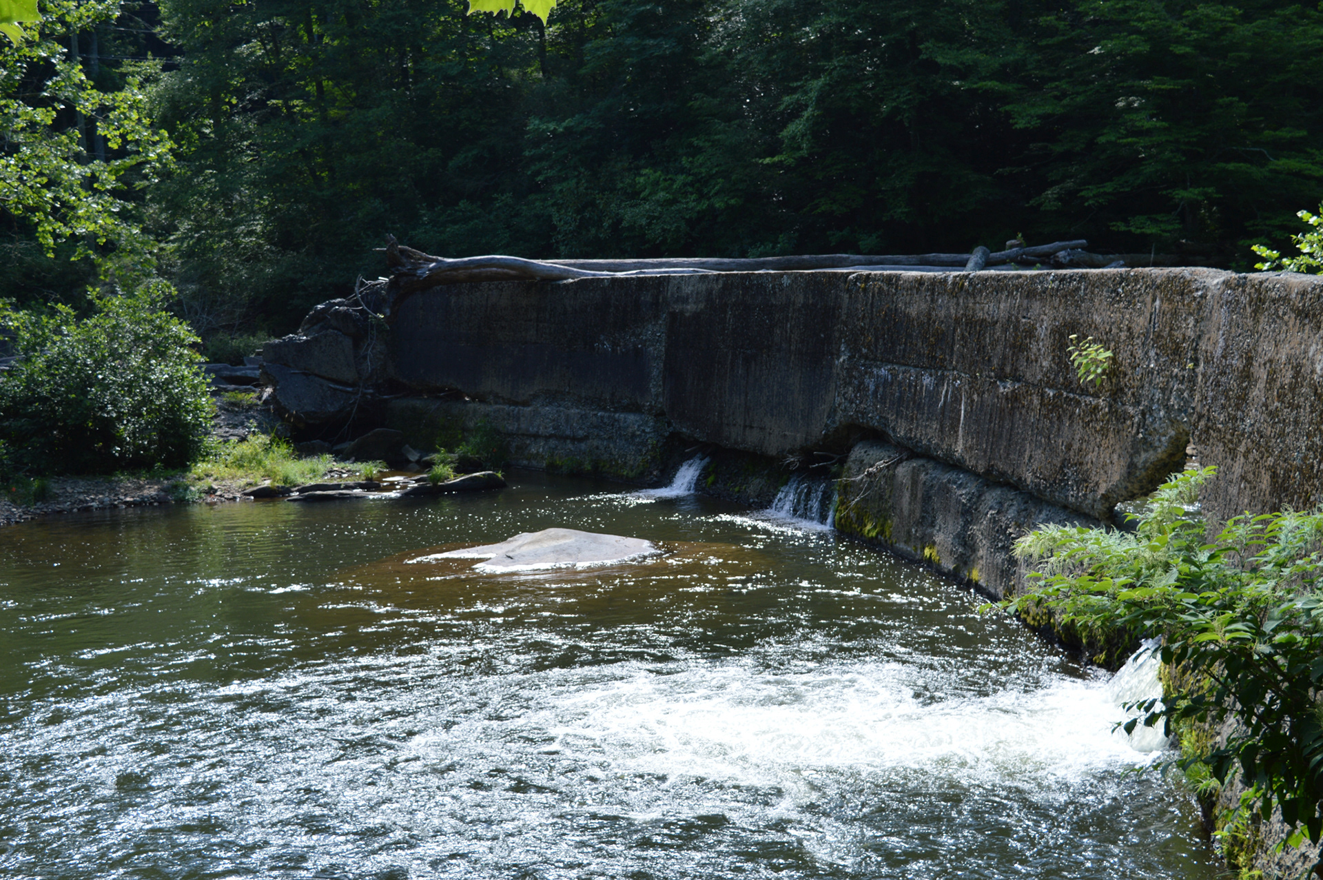 Shull's Mill Dam before its removal - 2024