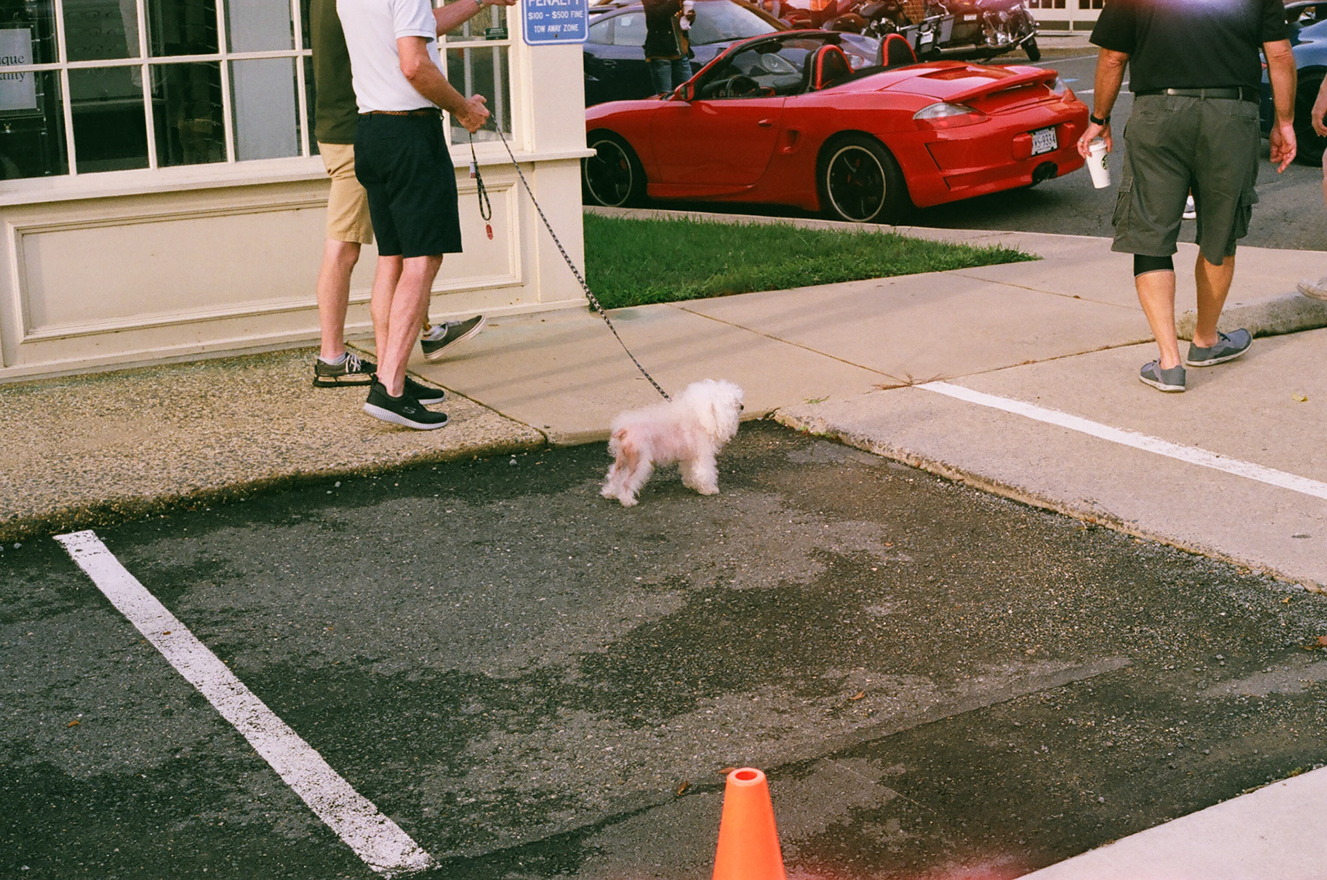 poor fella balding frfr