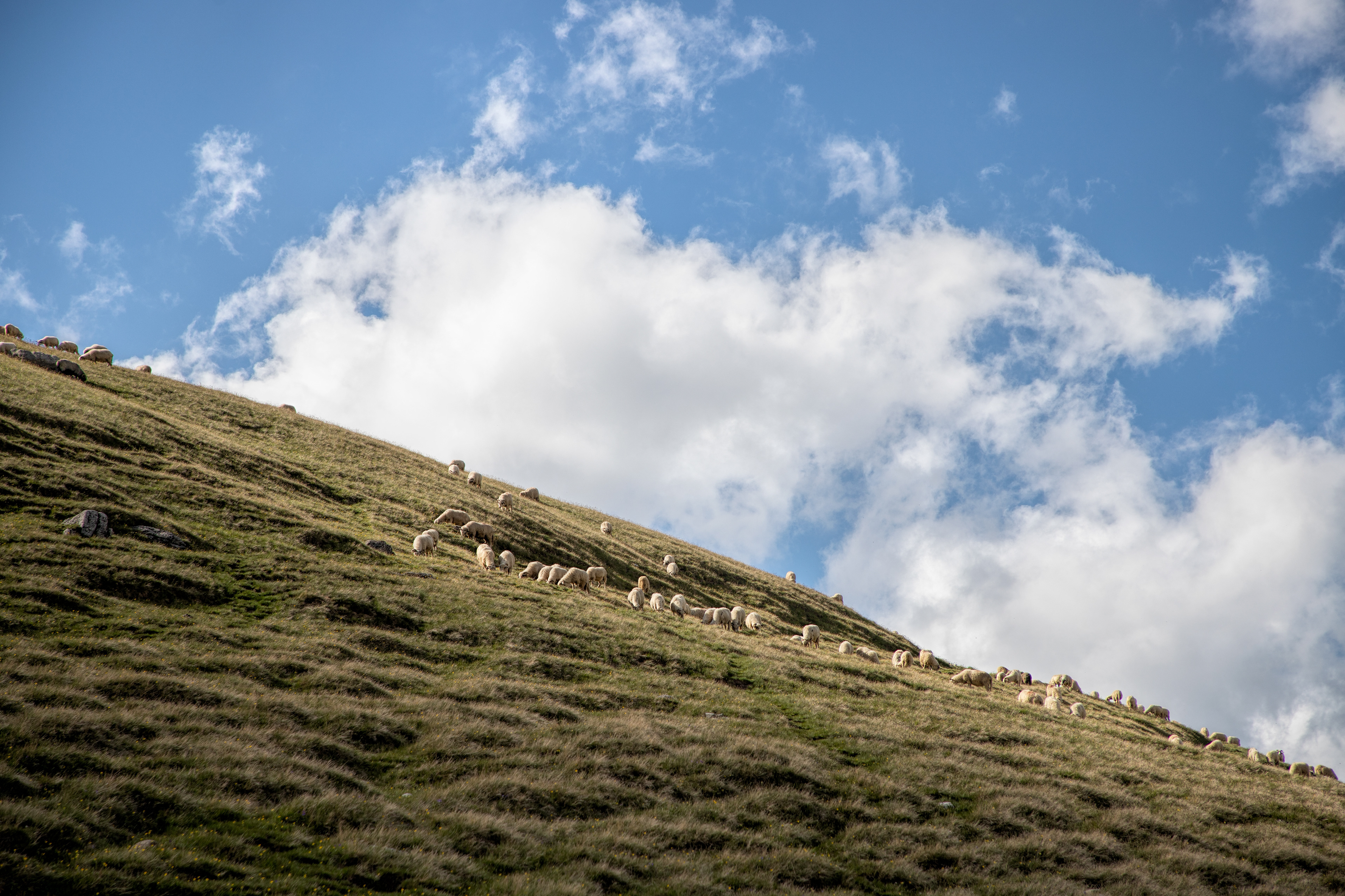 Transylvania region, Romania
