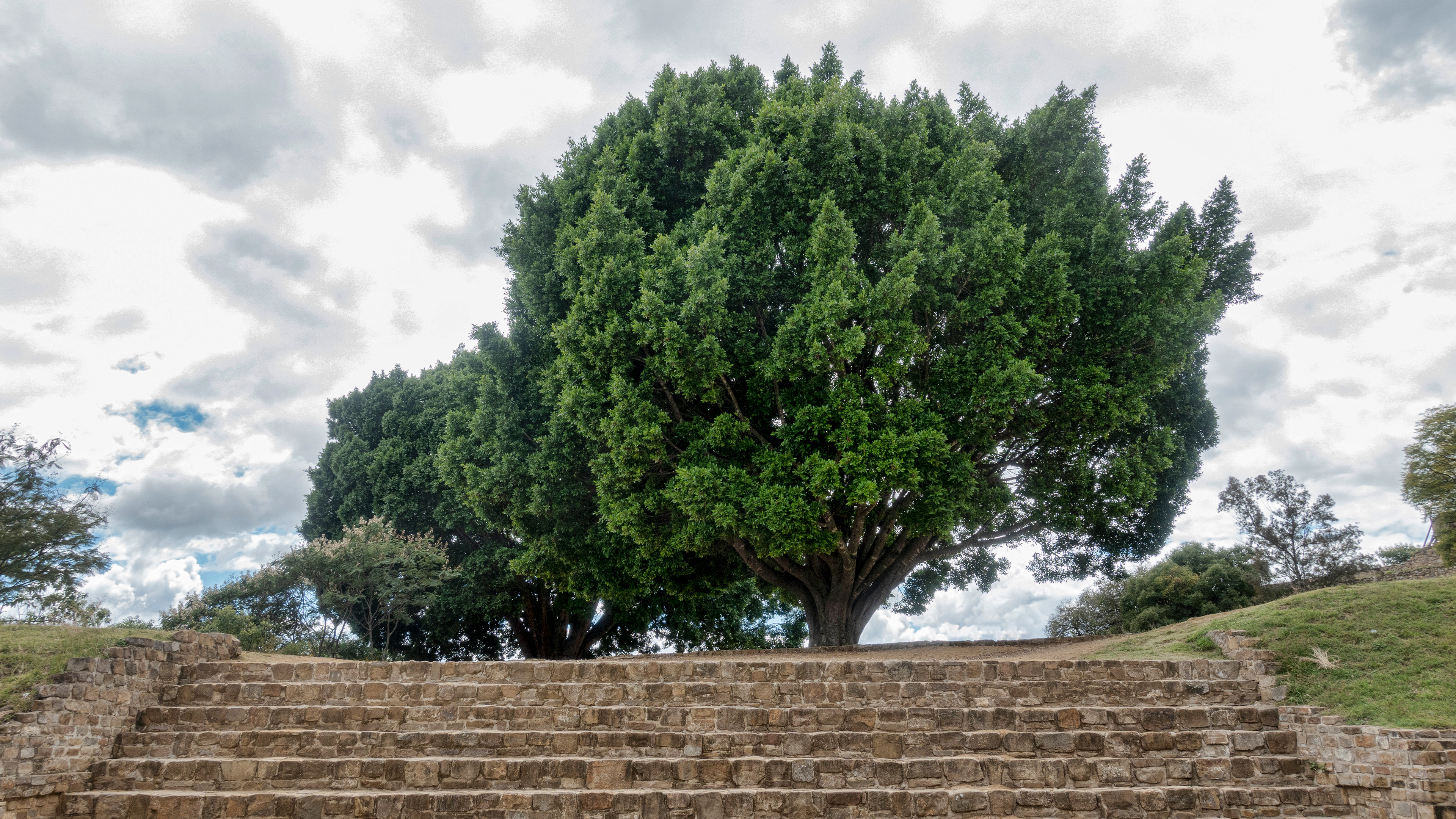 Monte Albán, Oaxaca