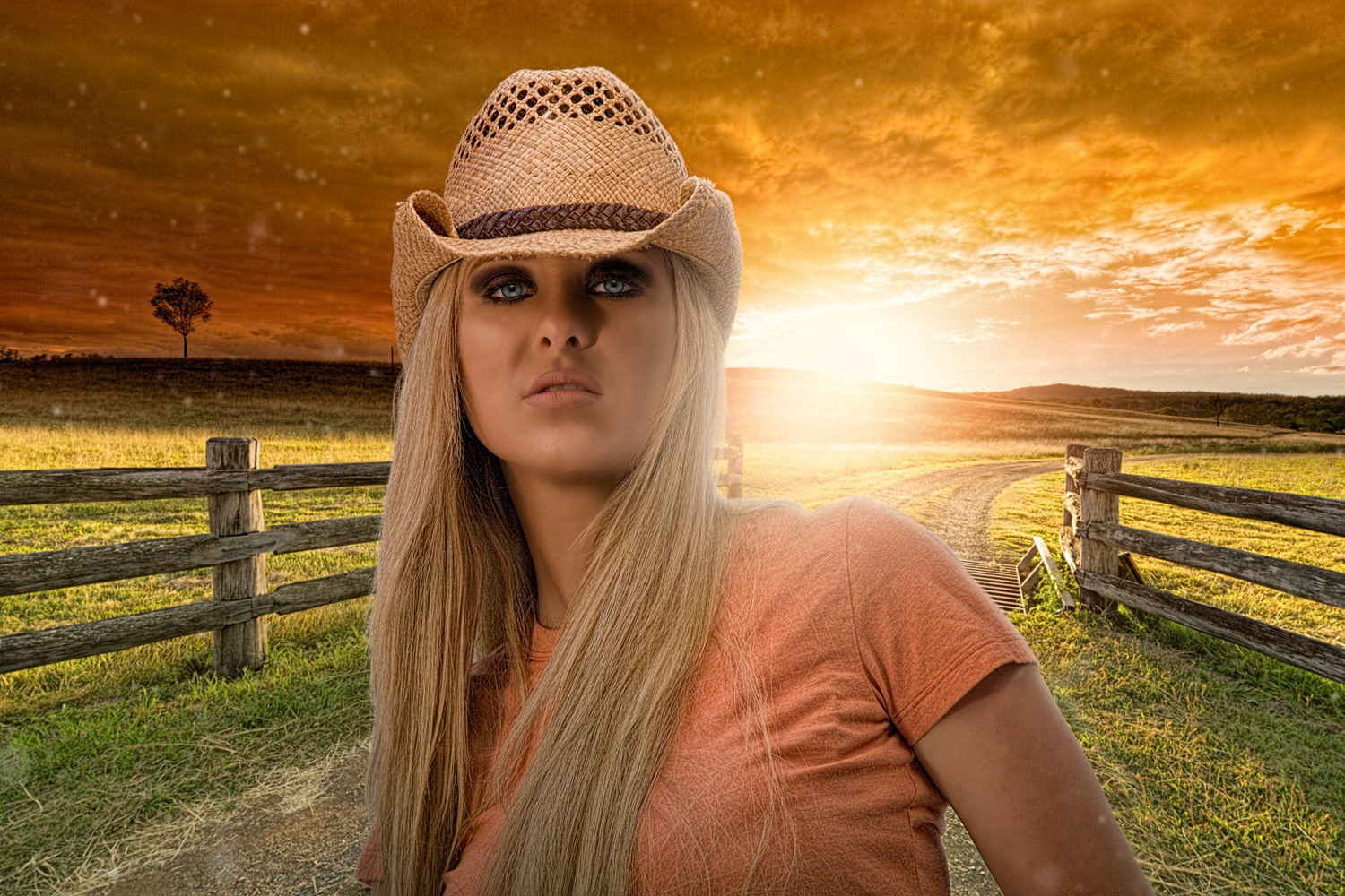 Home on the Range