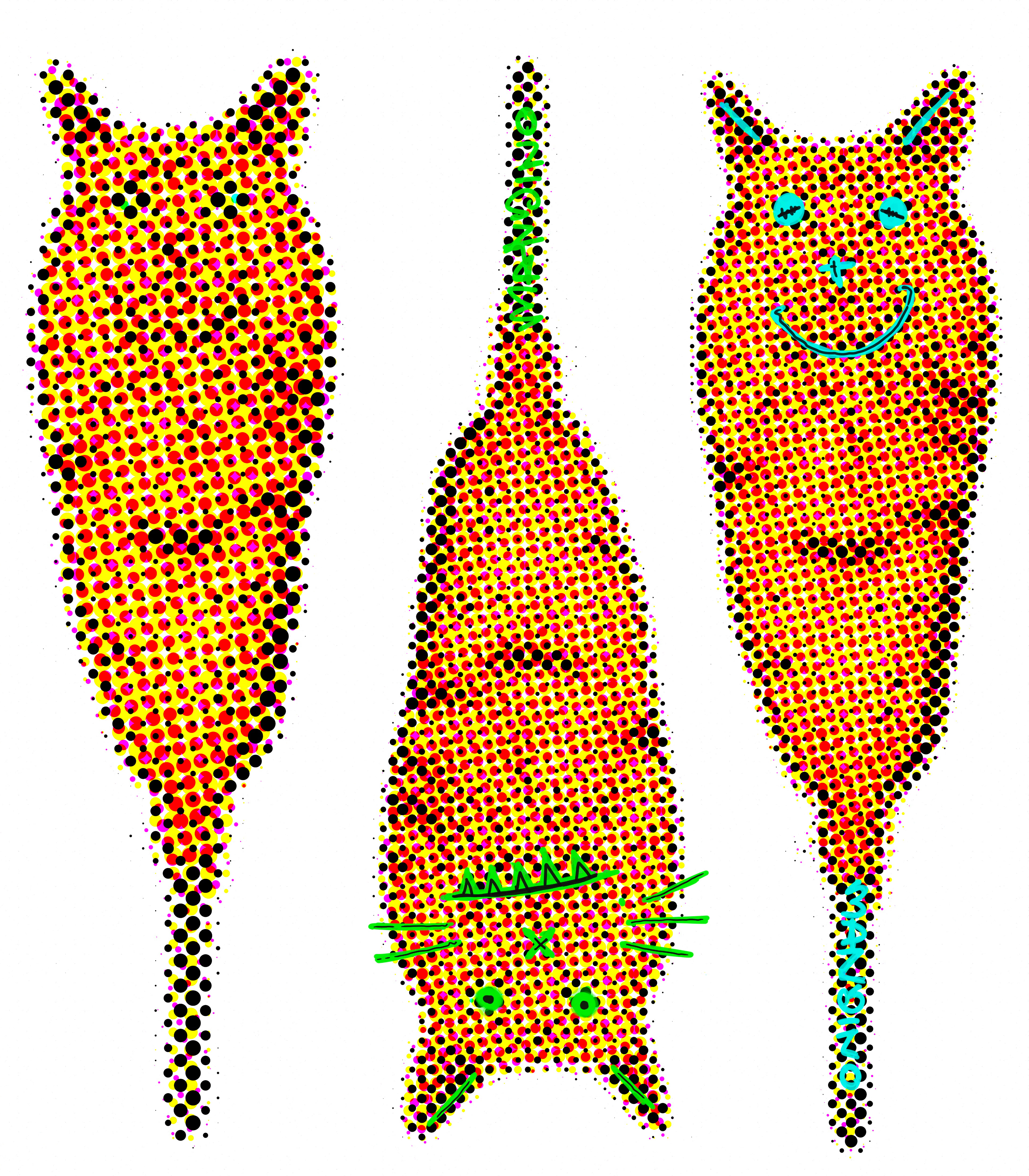 CAT CORNDOG TEST SHEET