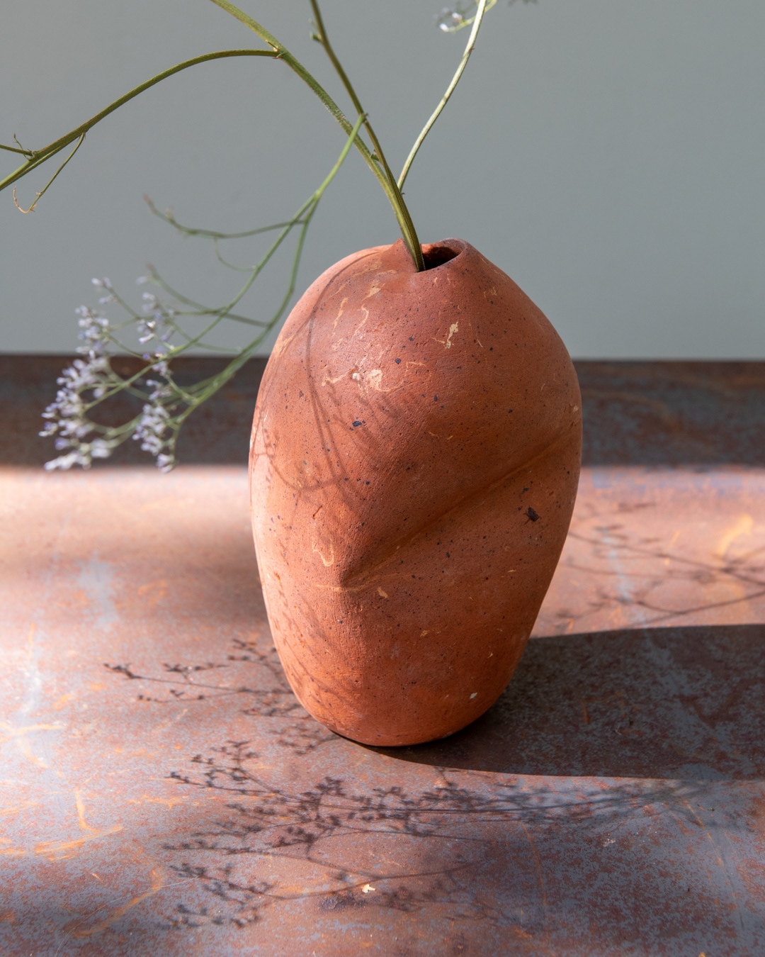 Terre rouge 21cm. Cuisson gaz HT