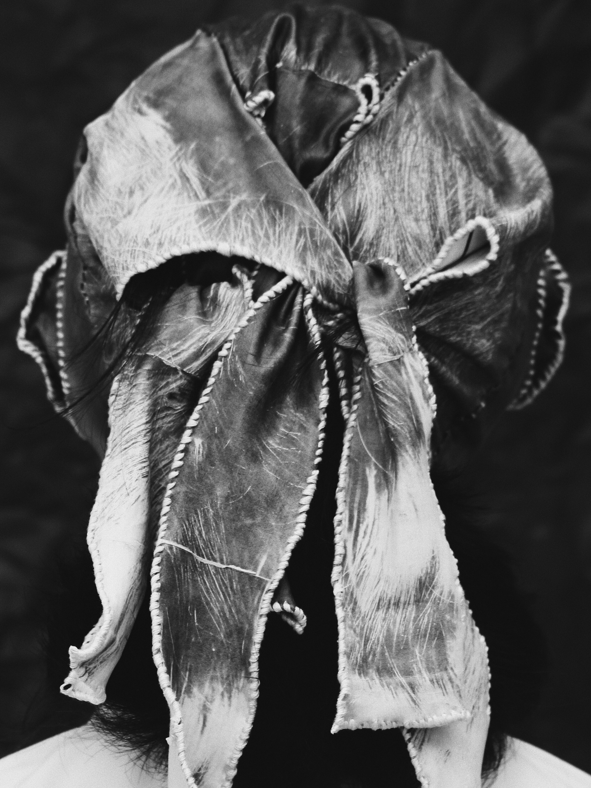 Encuero (back) - Image transfer on fabric, hand stitched