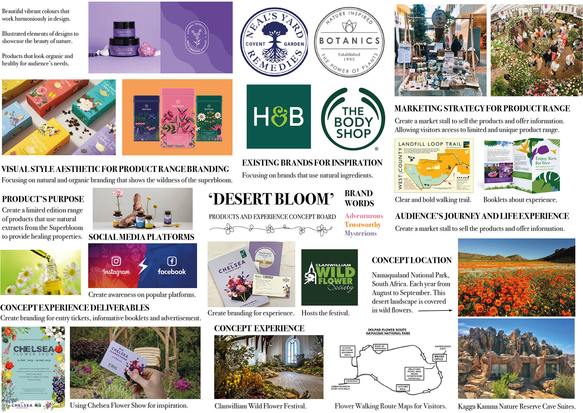 Concept Board