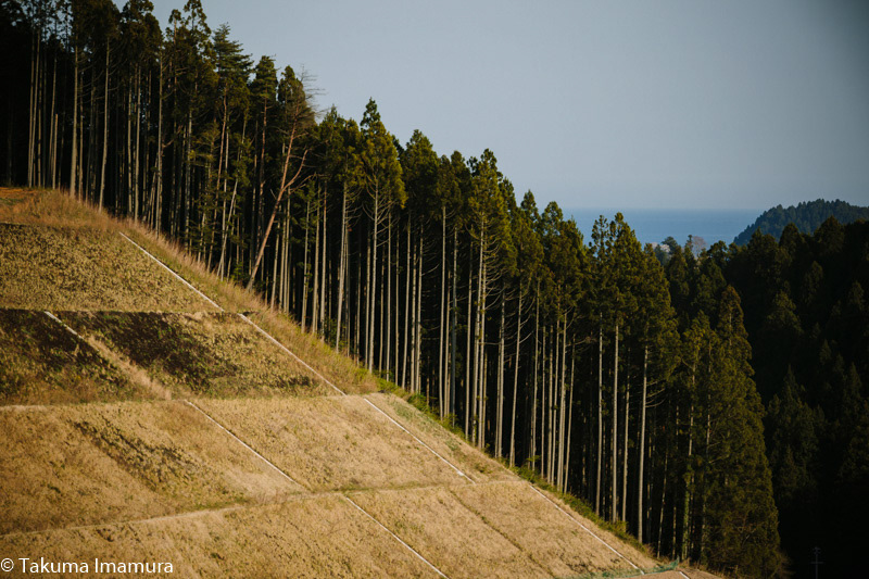2017/05/03 陸前高田市気仙町