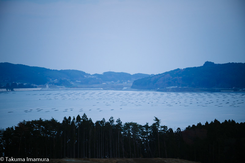 2016/11/20 広田湾に浮かぶ牡蠣棚