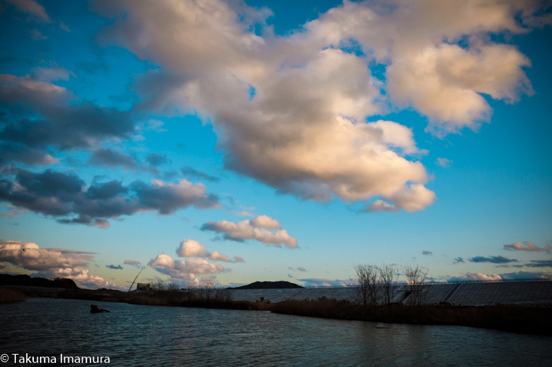 2016/11/23 陸前高田市高田町・古川沼