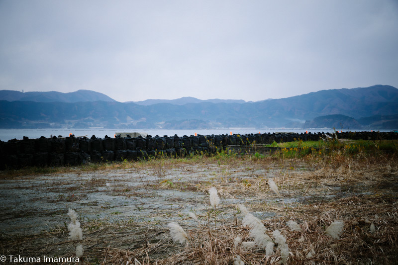 2016/11/19 陸前高田市米崎町