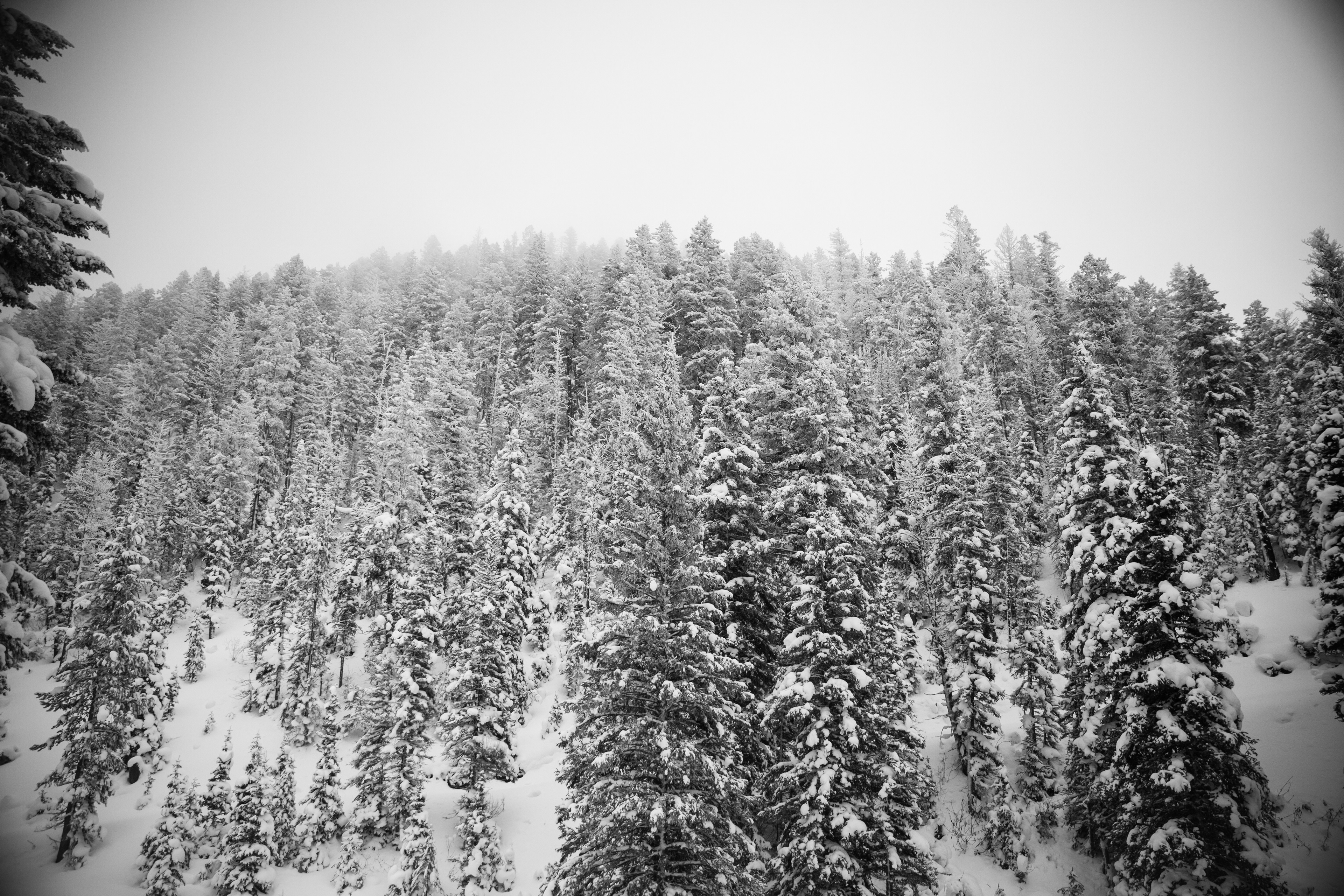 Yellowstone National Park