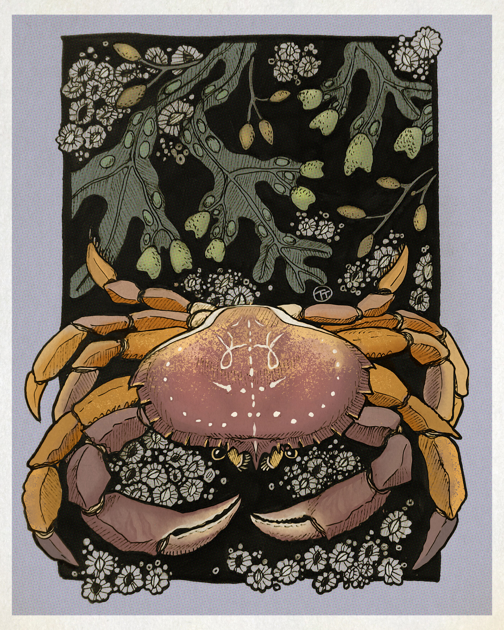 Personal Illustration