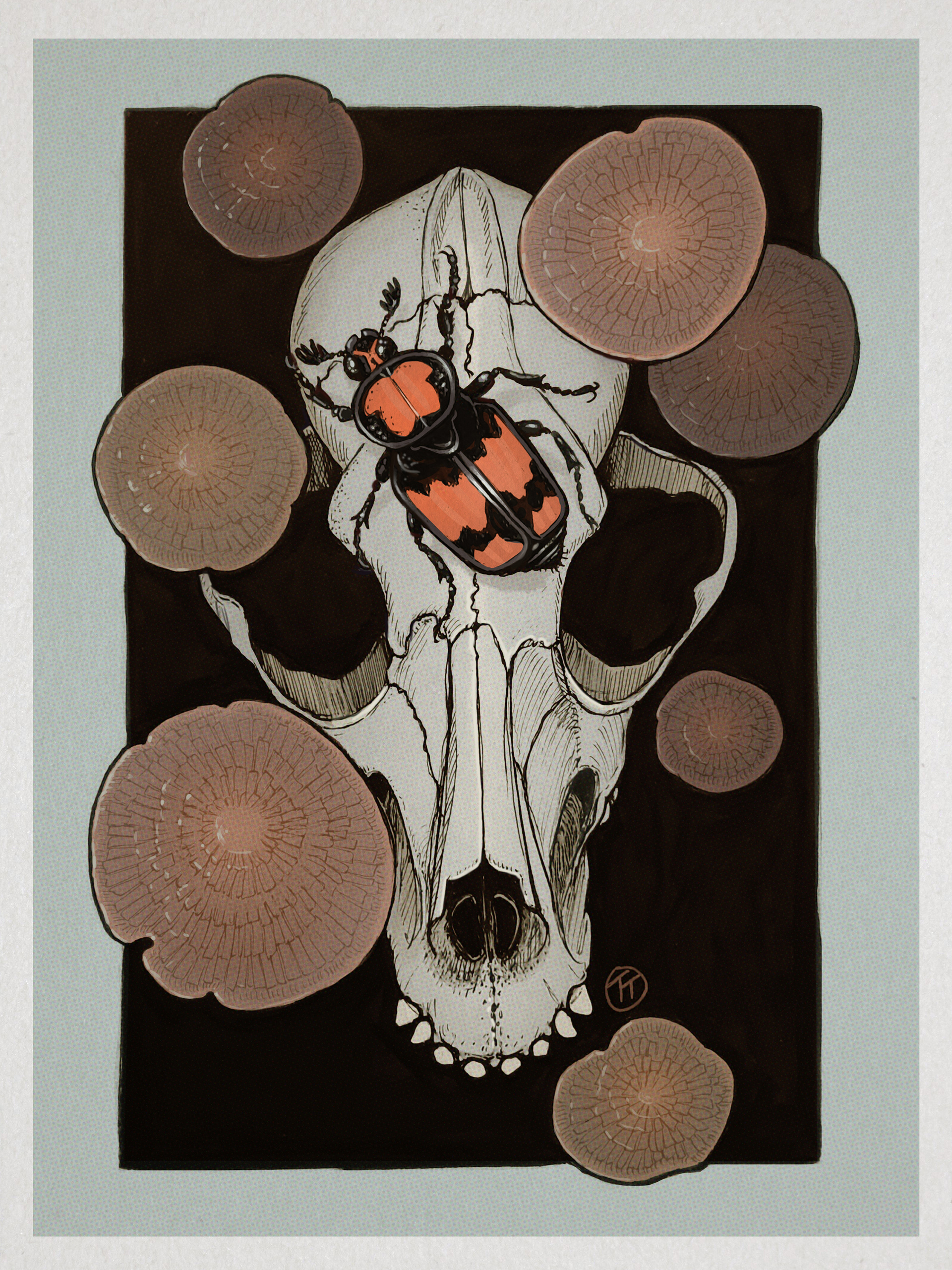 Personal Illustration