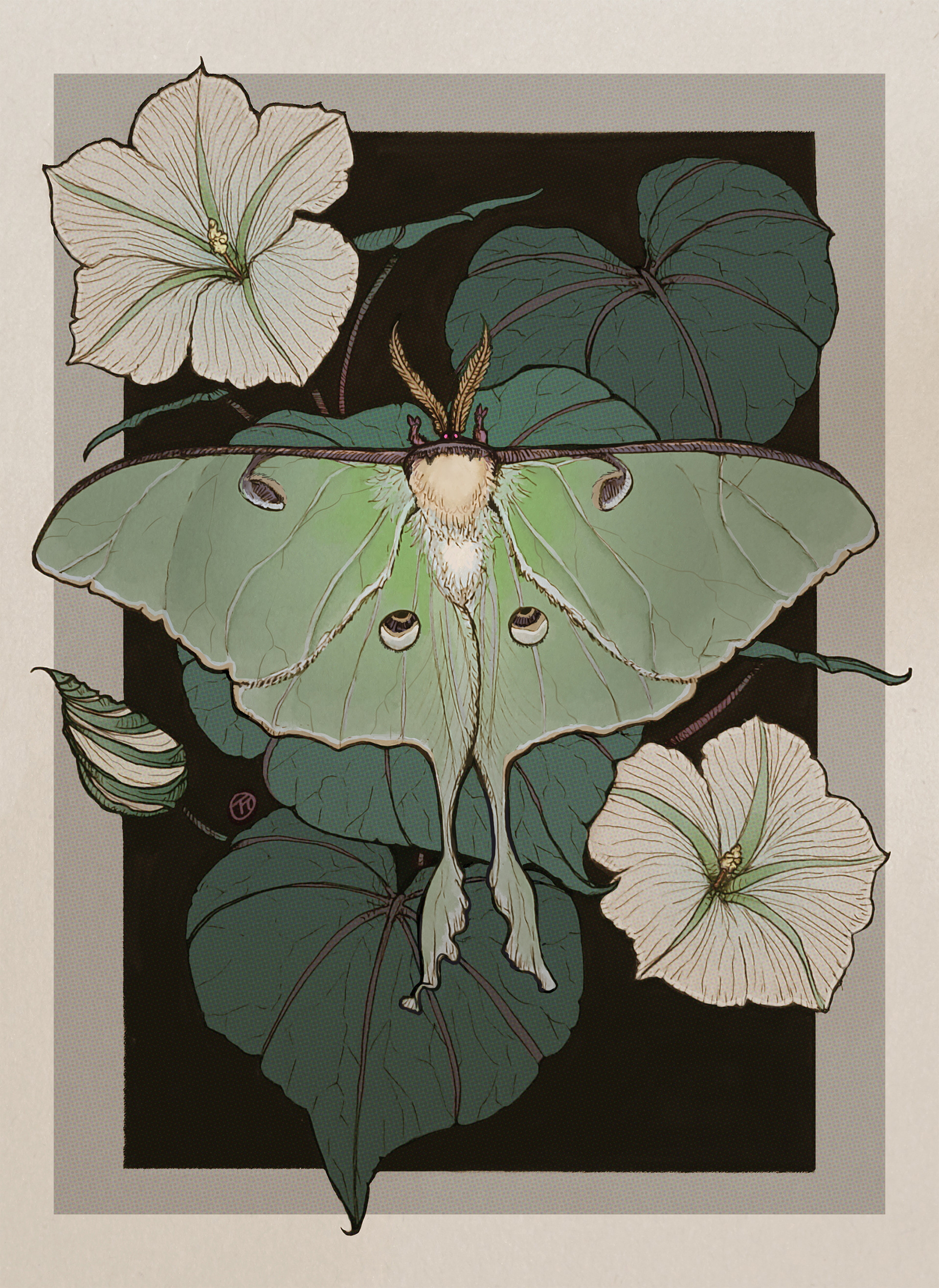 Personal Illustration