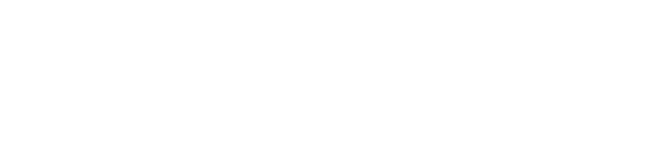 Bryan Perez Saltos