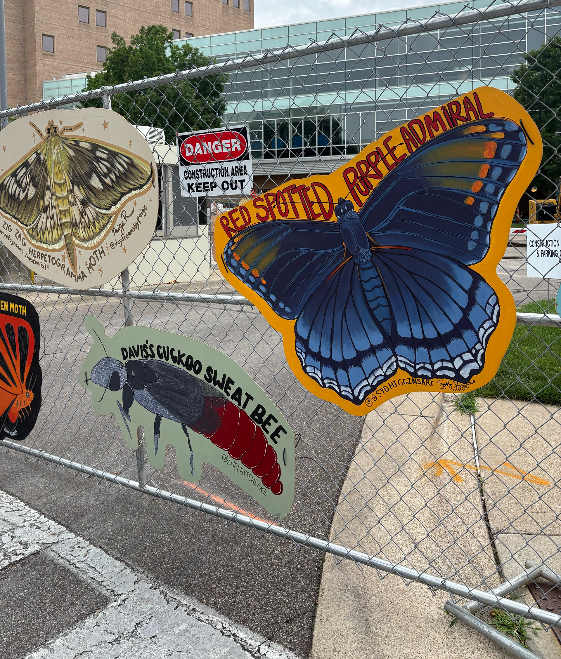 Red Spotted Purple Admiral Mural Fest 2025