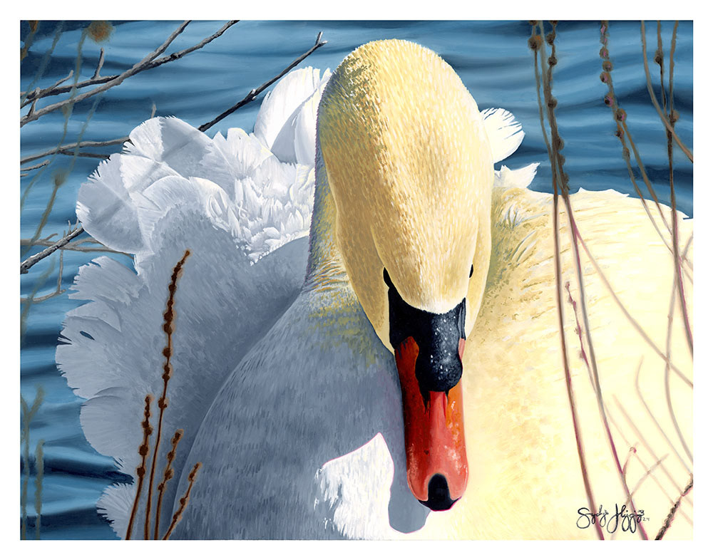 Swan oil painting 2024