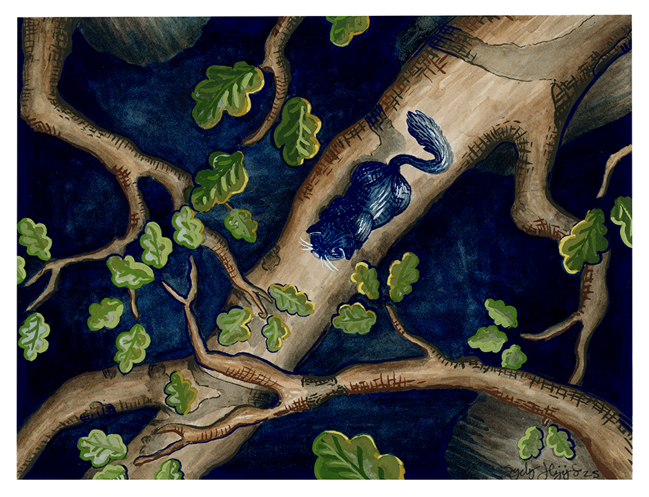 Exploring Kitty Watercolor and Gouache 2025