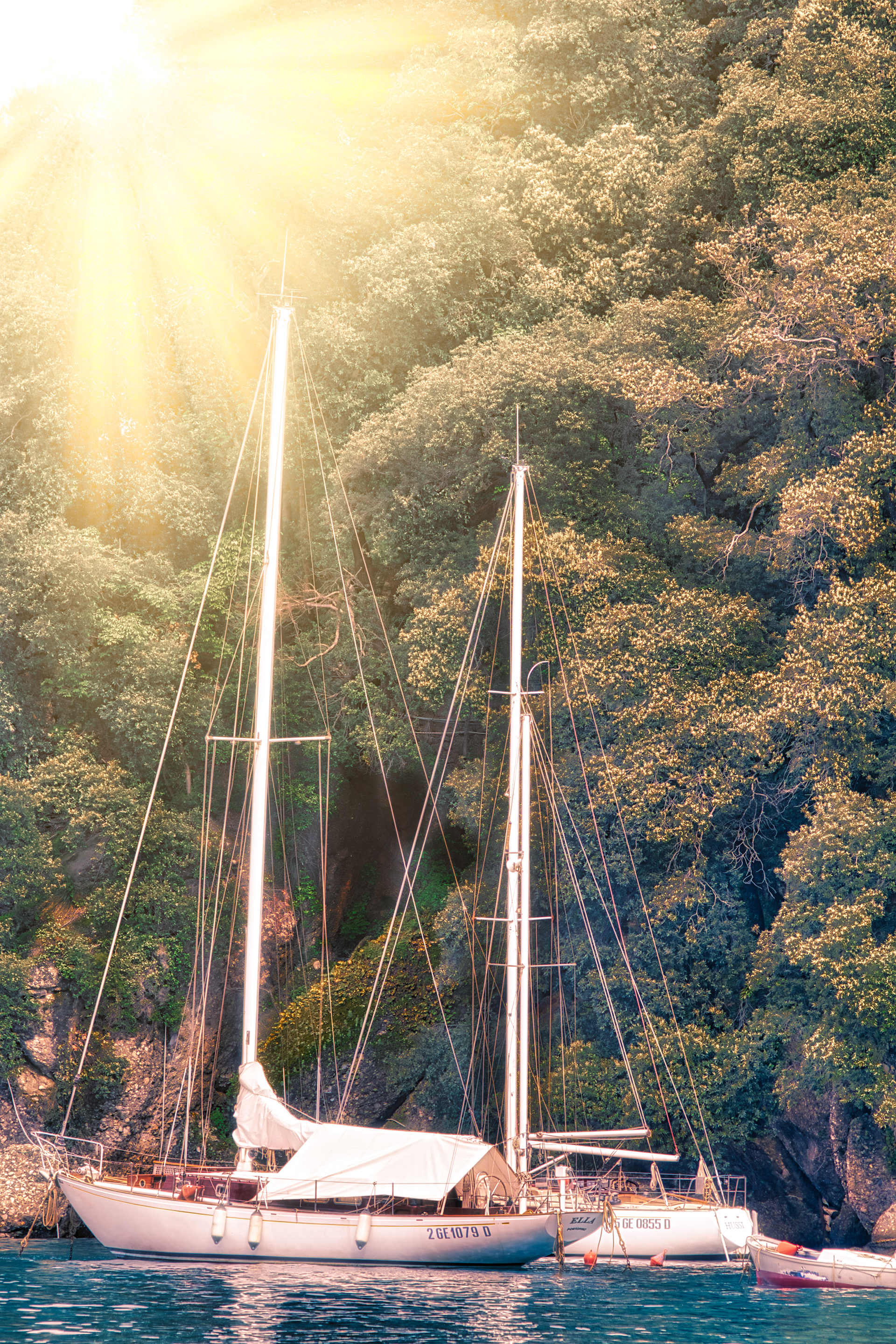 Sailboats at Rest