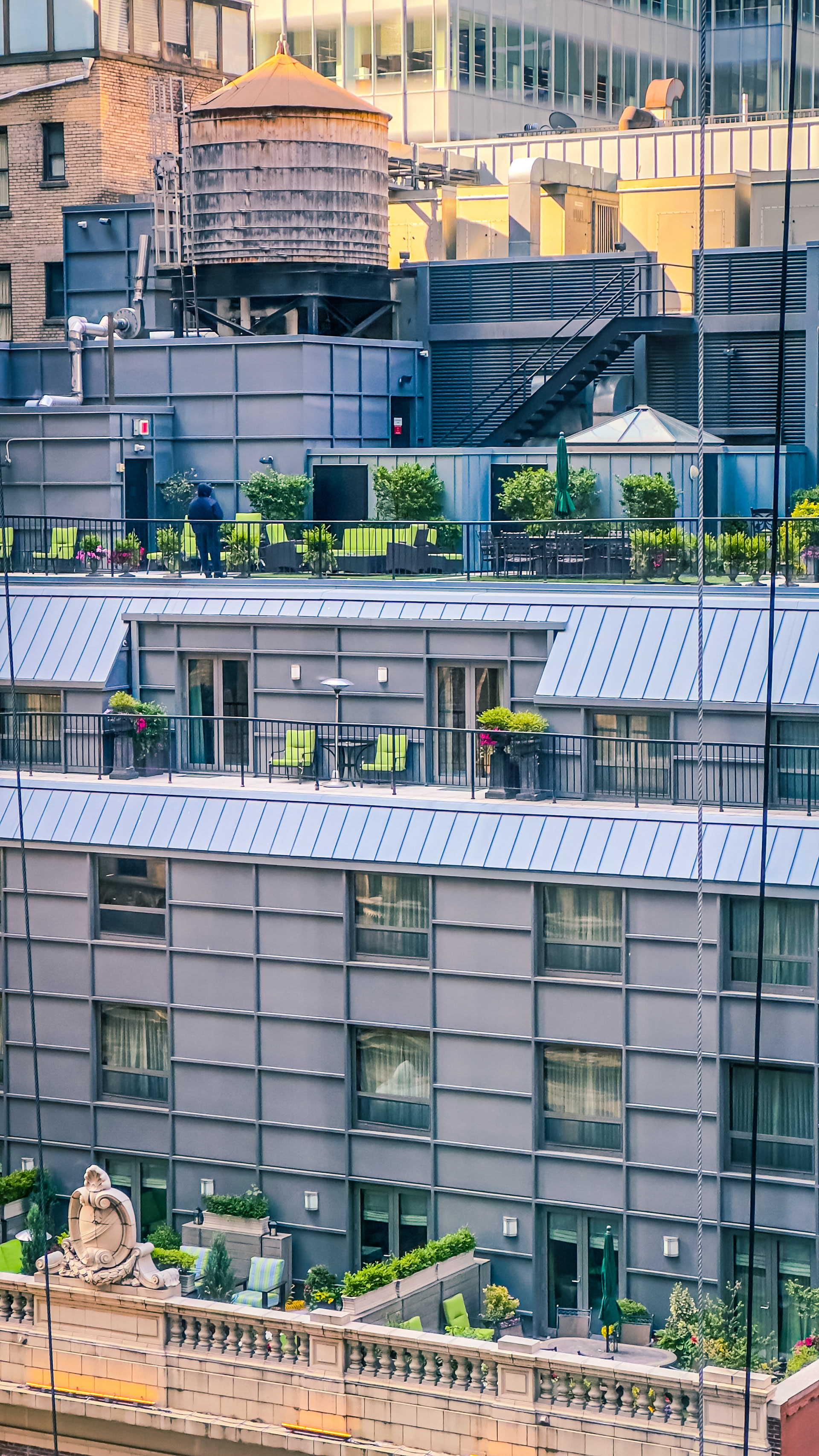 Elegant Rooftops