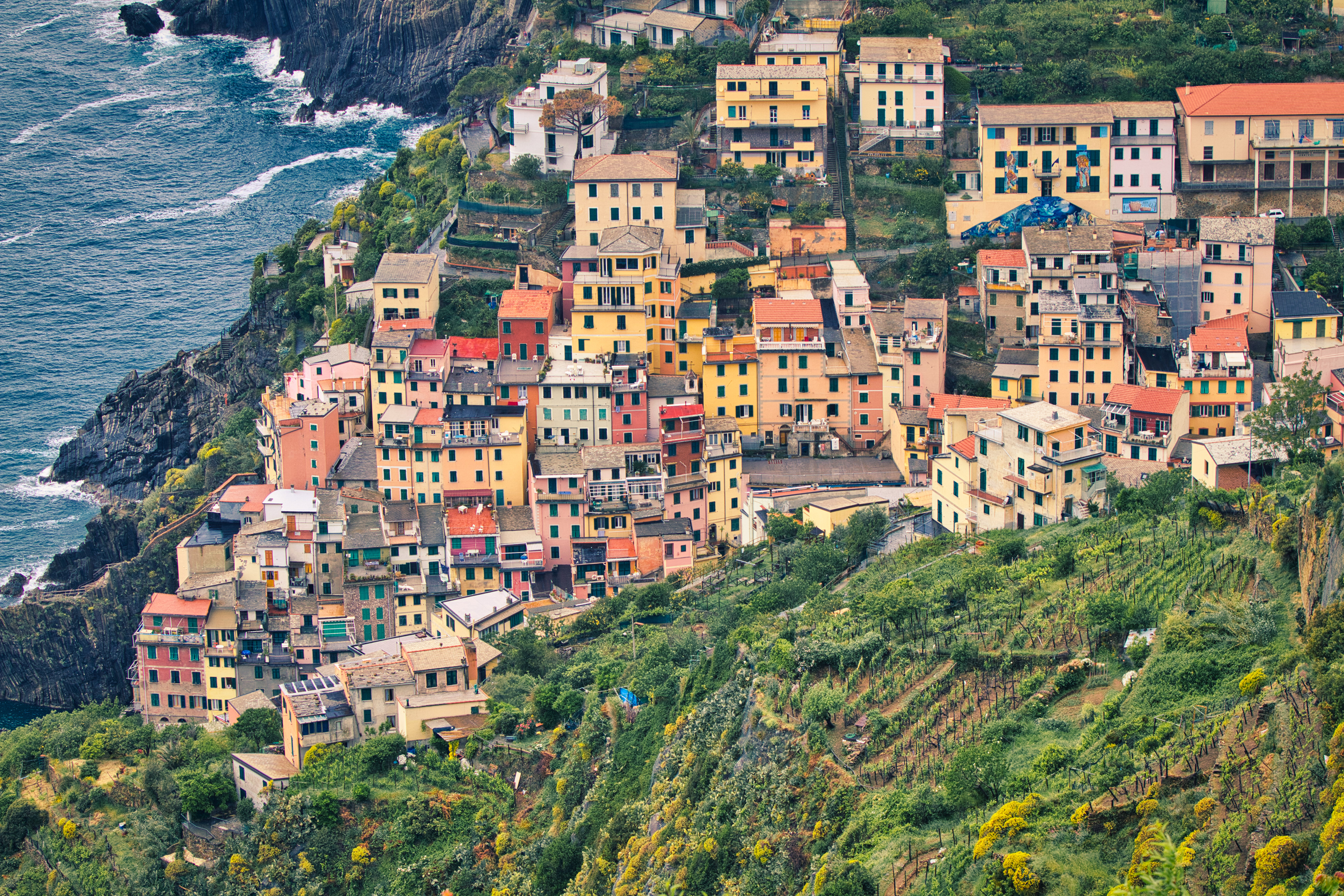 Cinque Terra Hillside