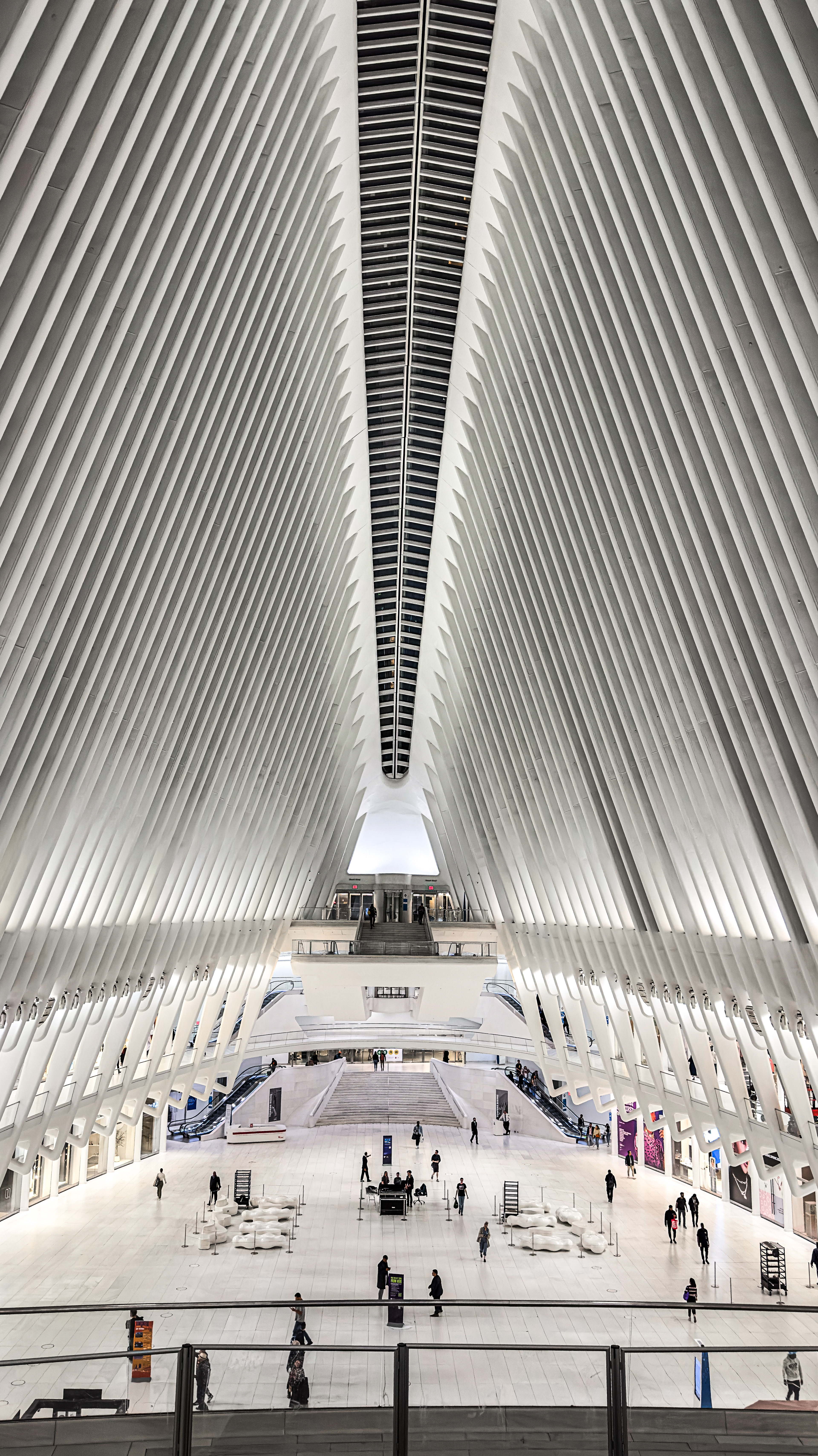 Oculus Interior