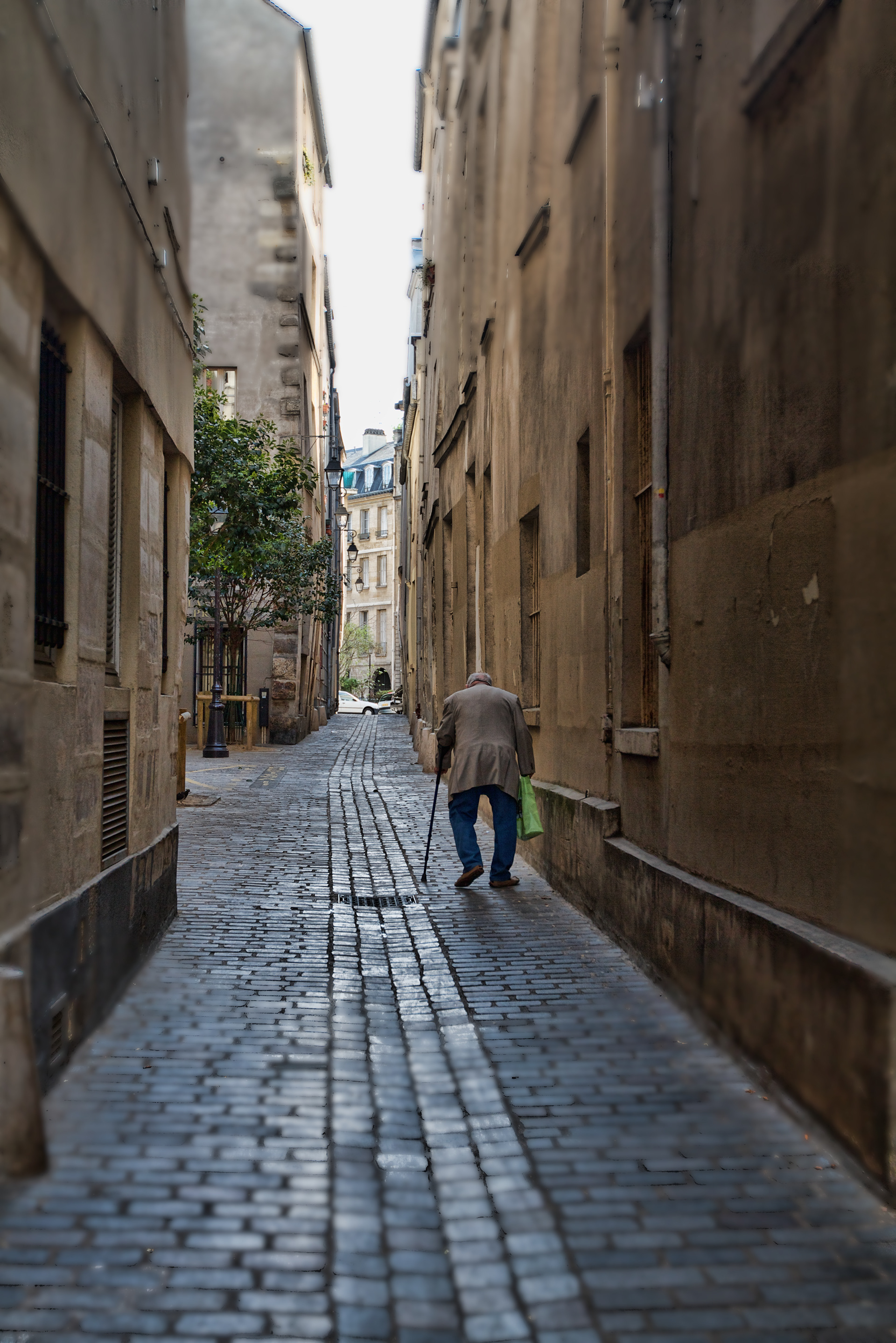 Old Parisian