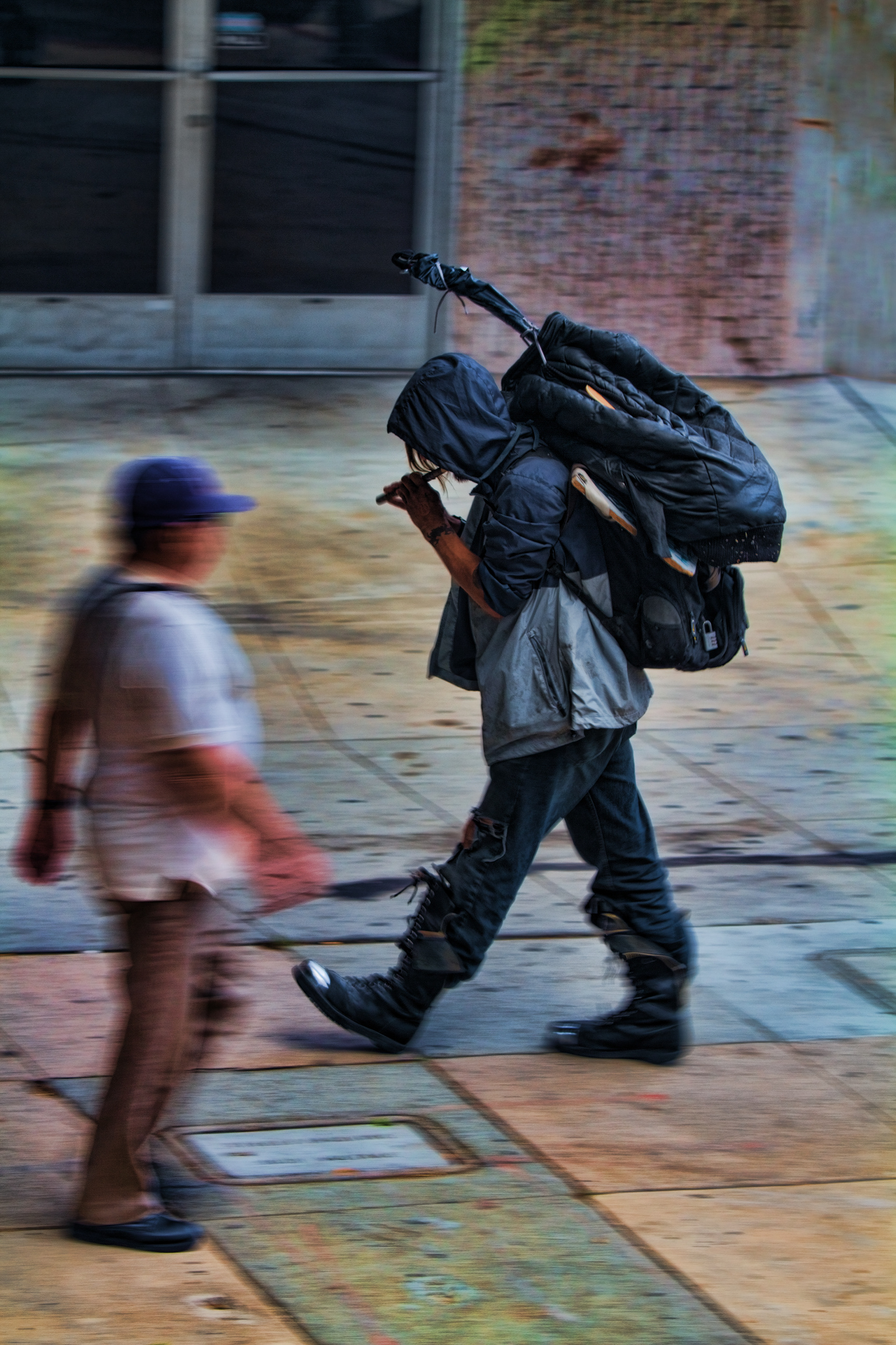 Hollywood Pied Piper