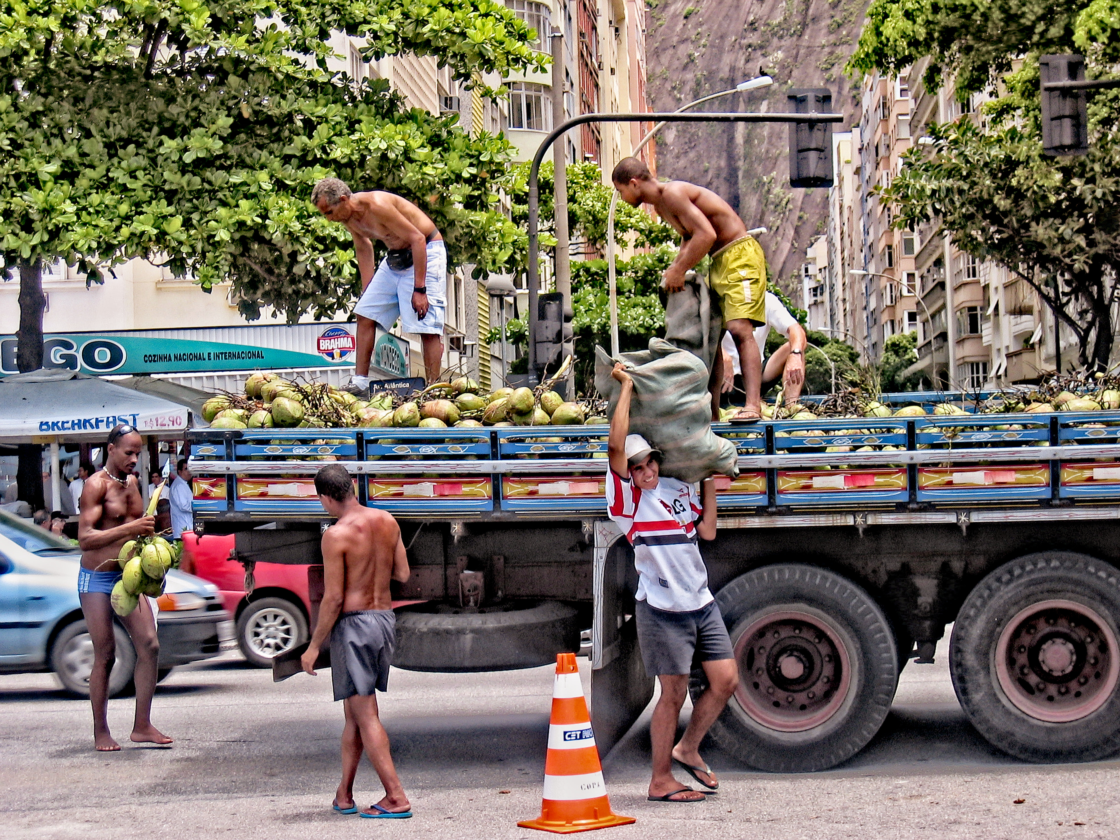 Coconut Delivery
