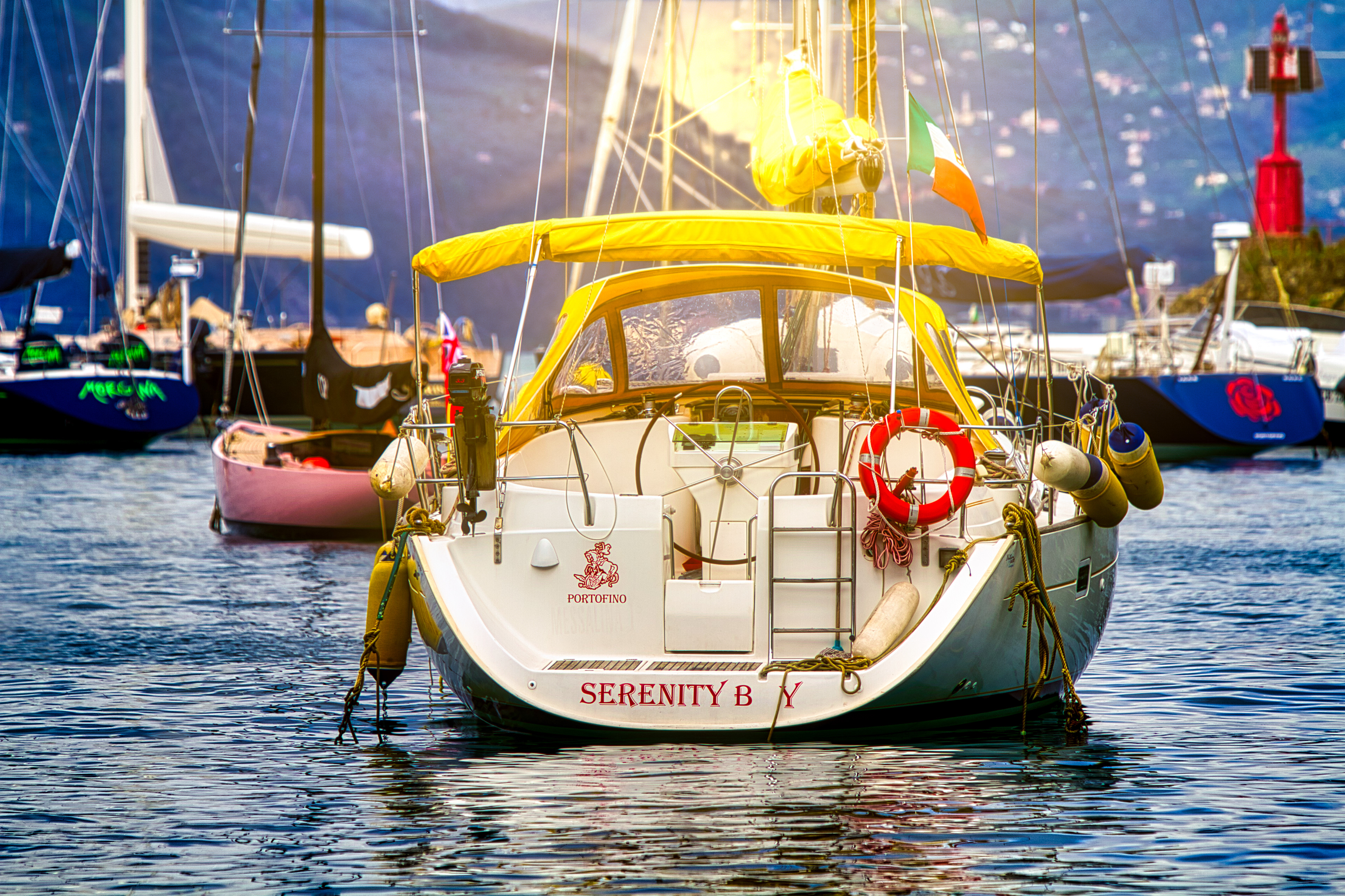 Boats Docked in Portofino