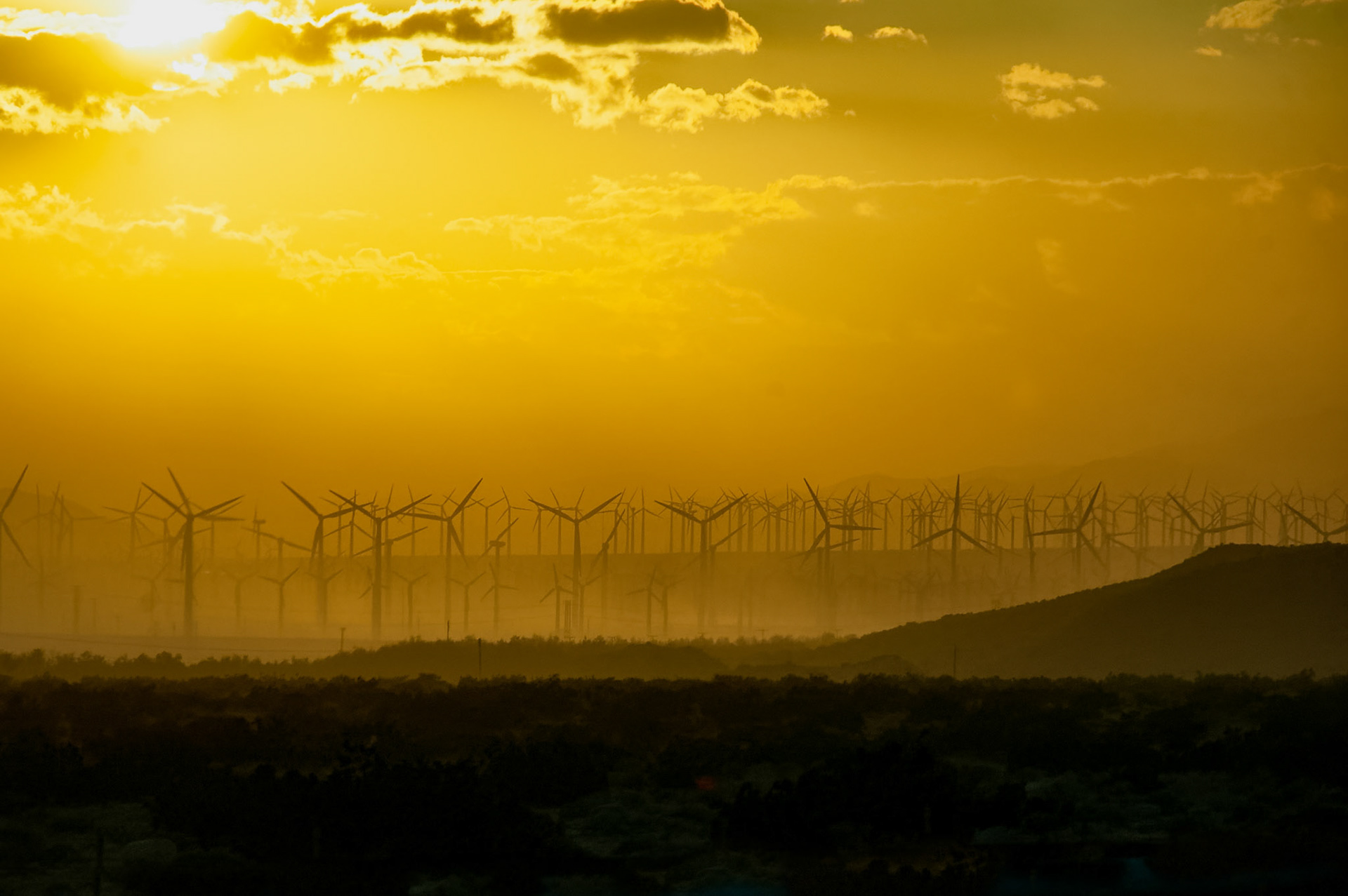 Finalist in "the four elements".