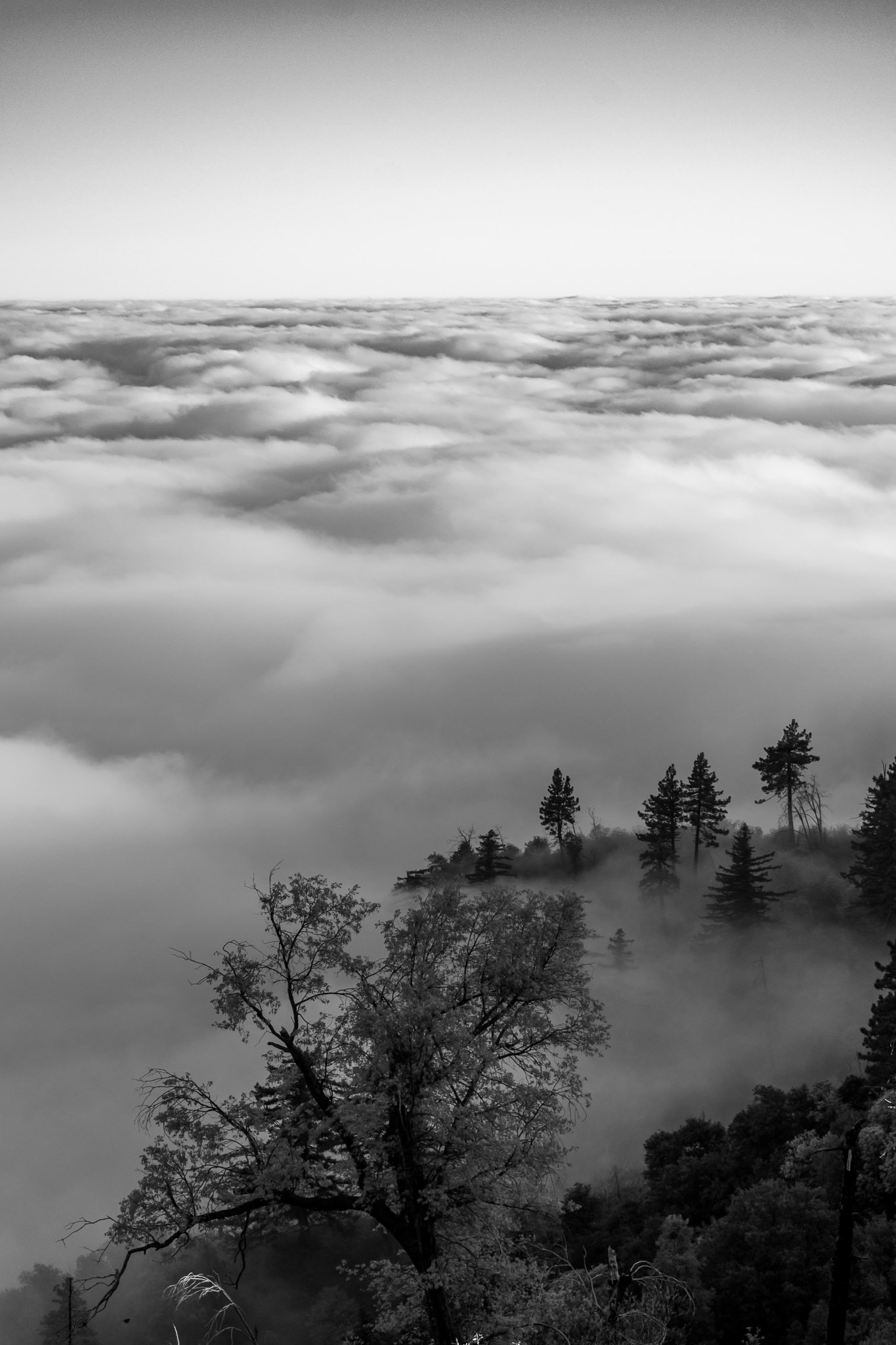 Won Summer of 2020, July 2020.