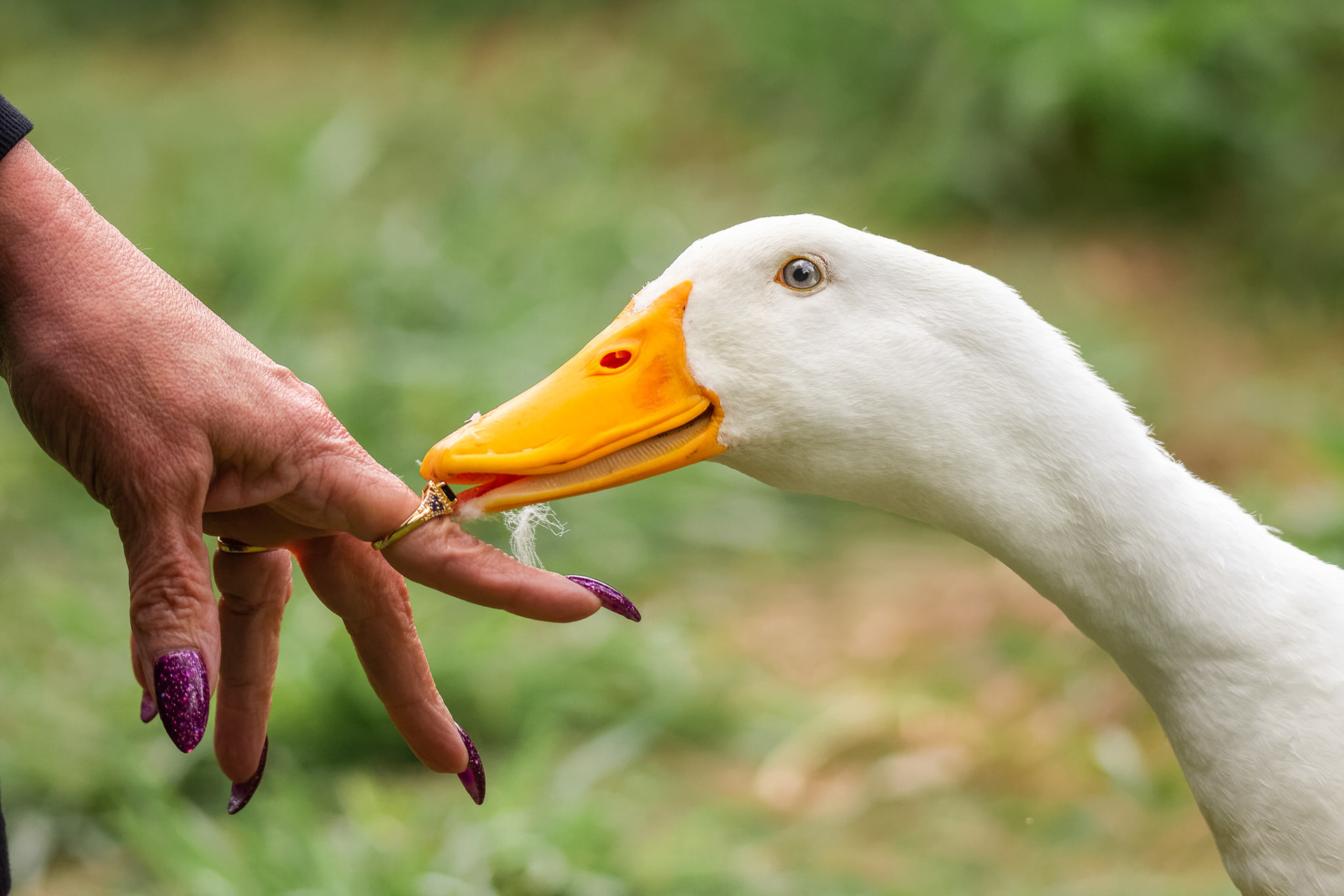 Won 9Teen Award, 2019.