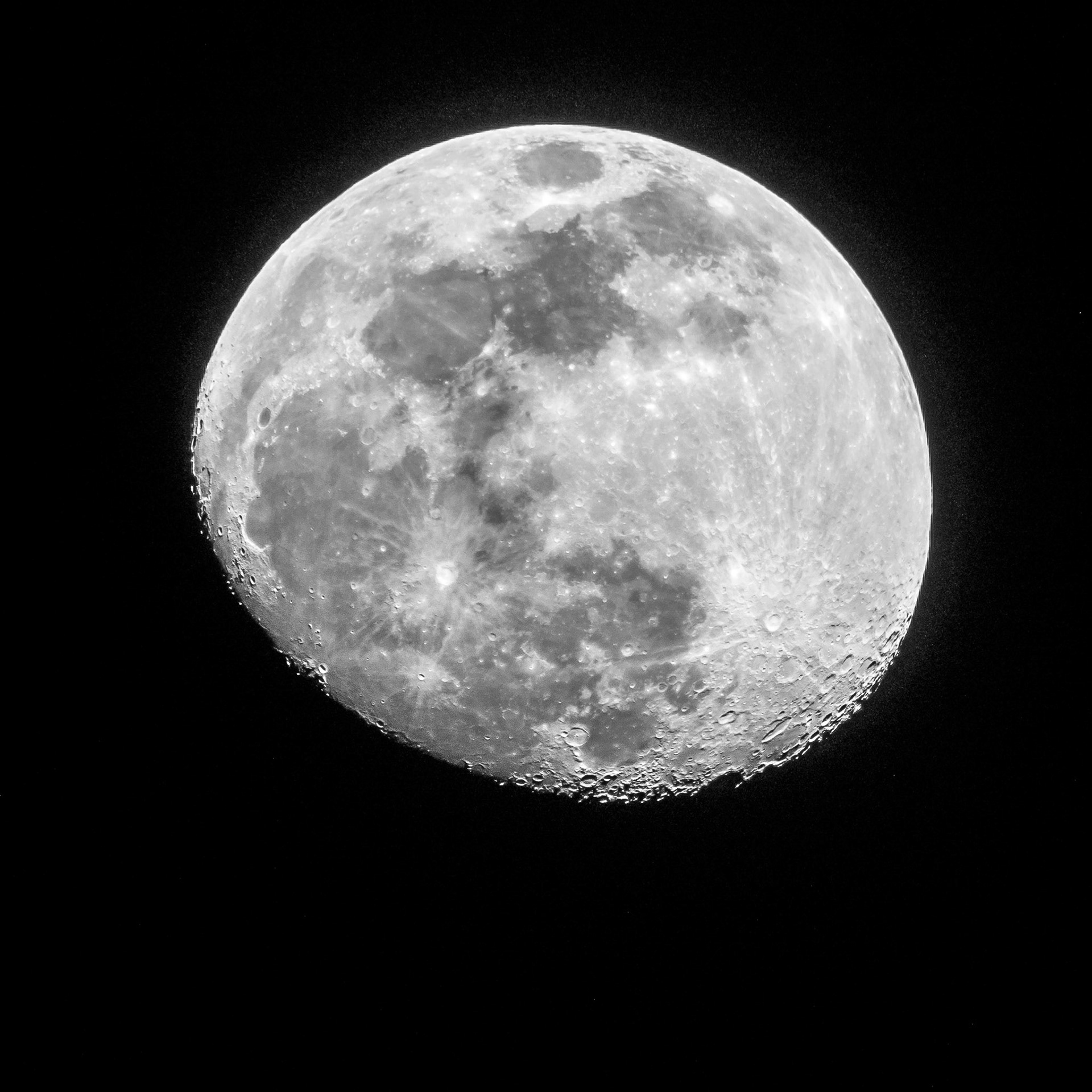 Won Celebrity Award, 2019.